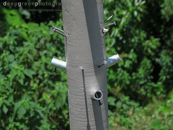 birdfeeders (42 of 50).jpg