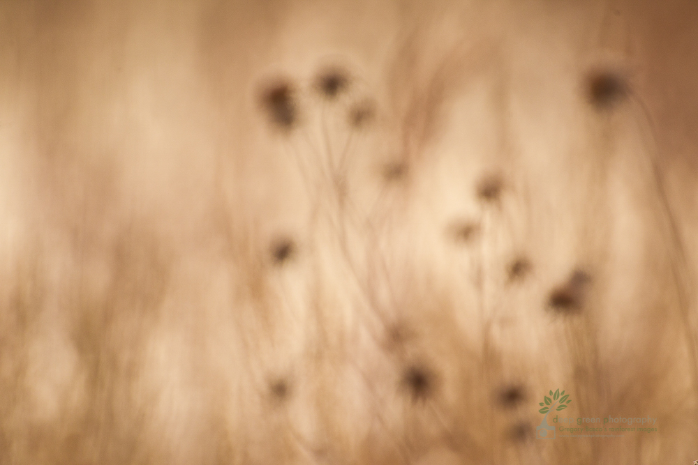 untitled-28.jpg