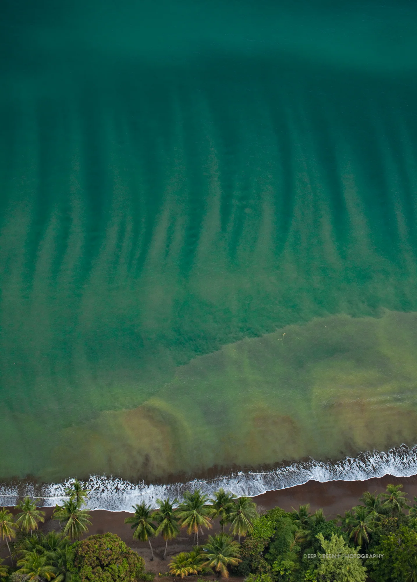 Beach near Drake Bay on Costa Rica's Osa Peninsula, one of the most biodiverse places on the planet