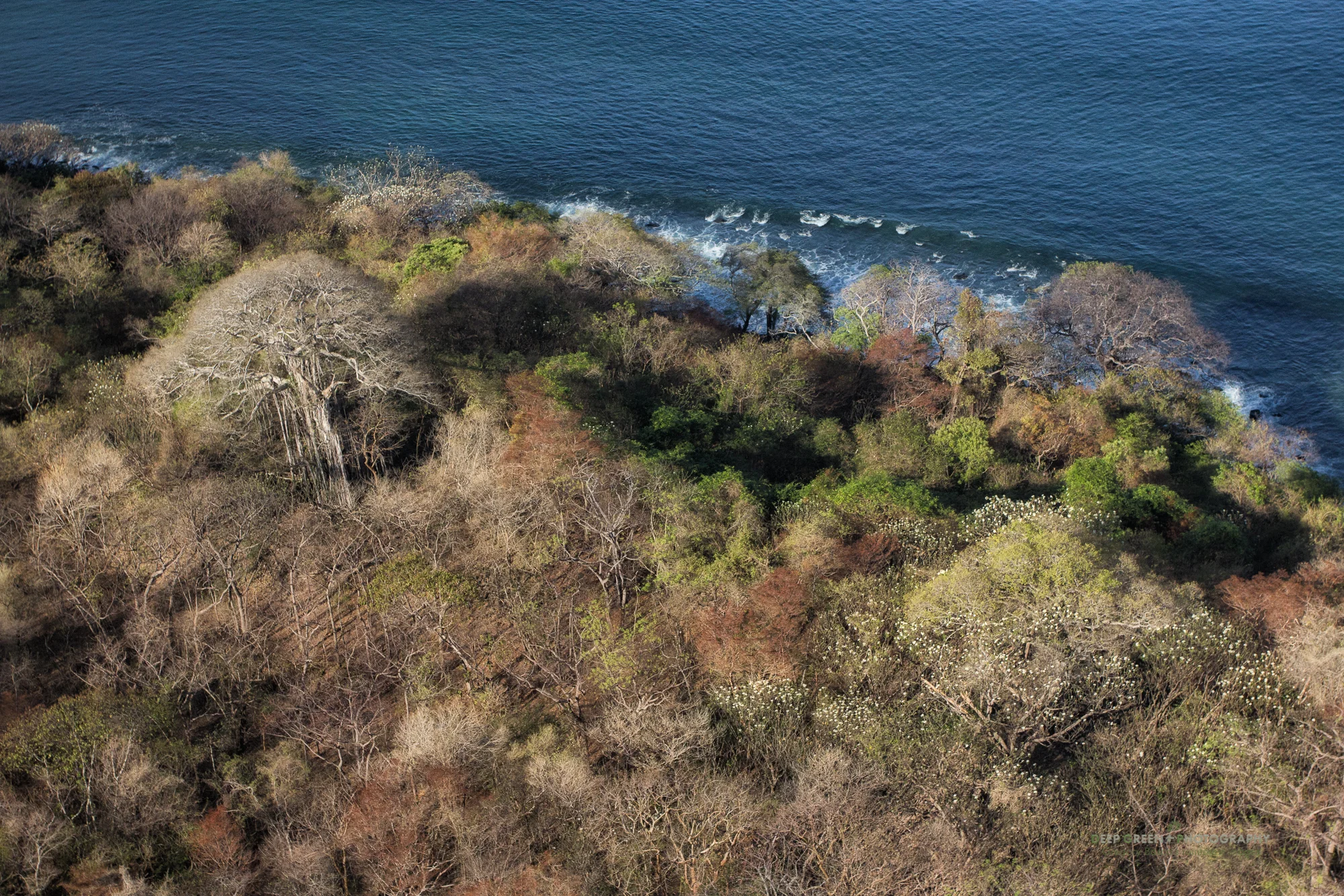Tropical dry forest meets the Pacific Ocean in Costa Rica's Guanacaste province.