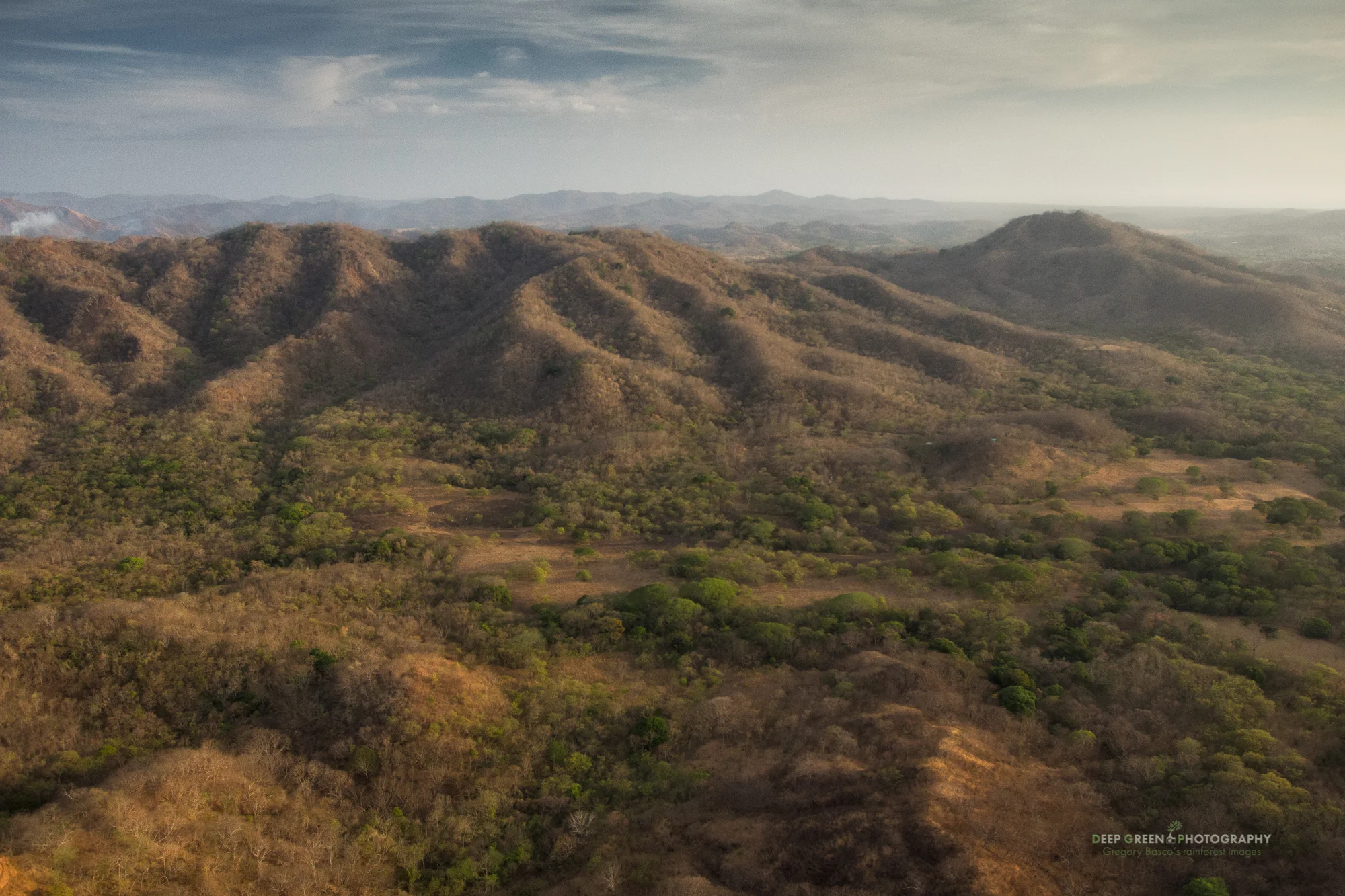 Aerial view of the tropical dry forests of Costa Rica's Guanacaste province. Tropical dry forests are one of the most threatened habitats in Central America.