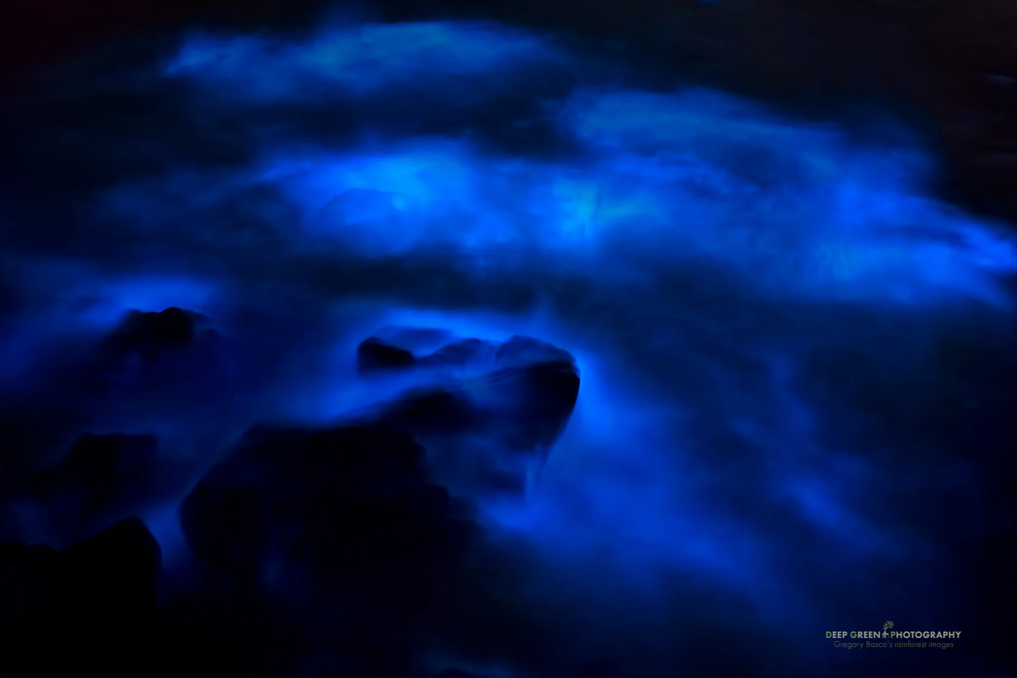 bioluminescent dinoflagellates create a glow as waves break on the shore of a beach on the Nicoya Peninsula
