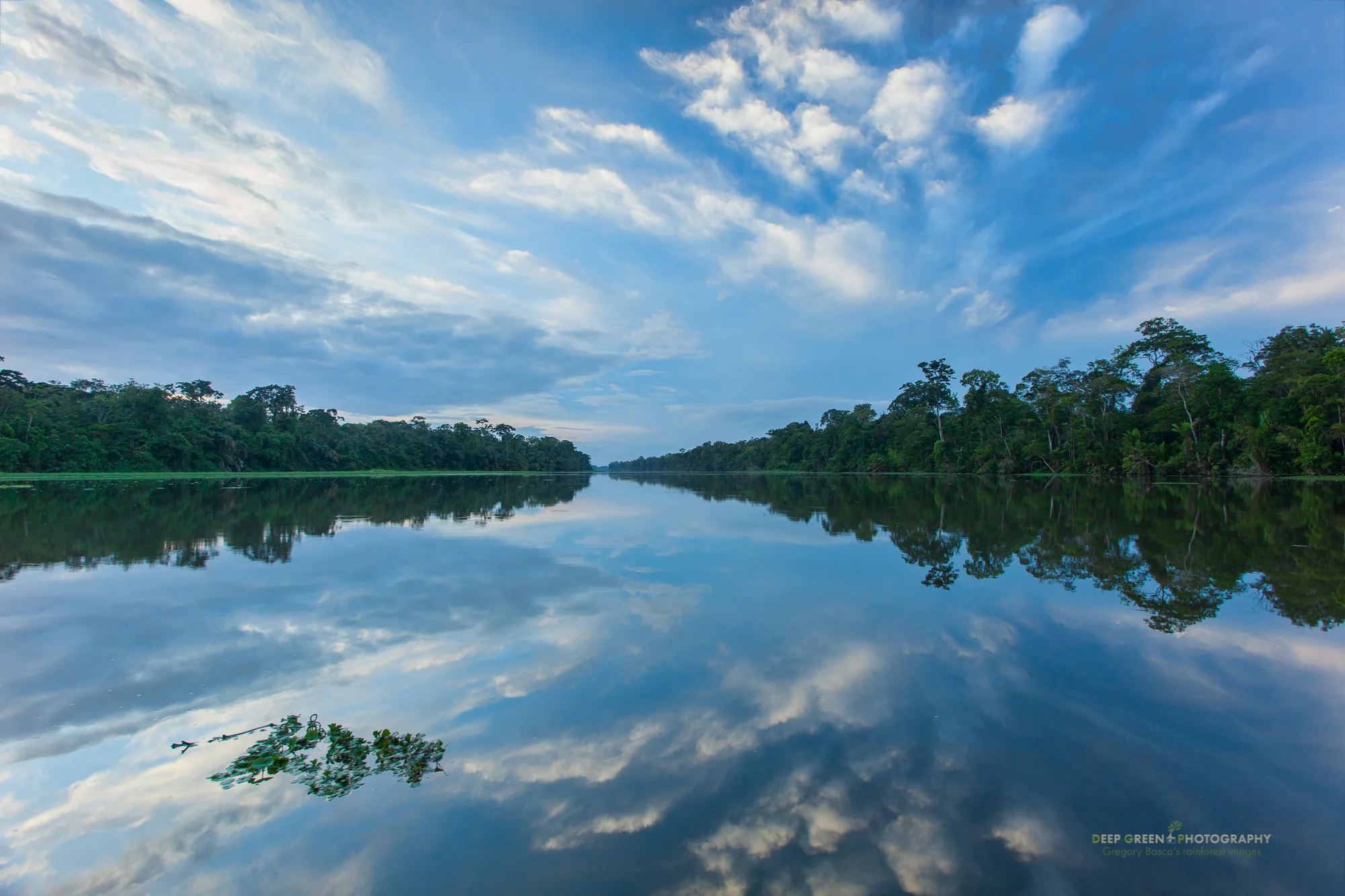 dawn in a lagoon in Tortuguero National Park