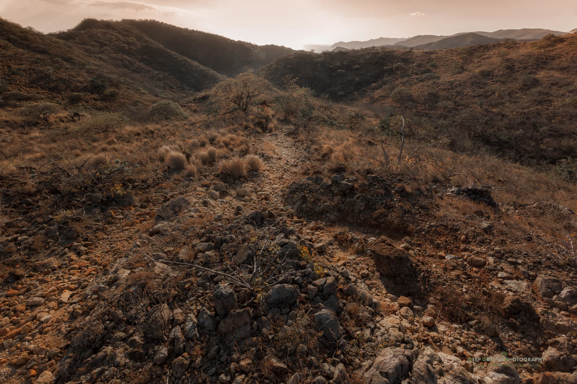 the brutally dry and windy conditions leave little life on top of the Cerro Ingles in Santa Rosa National Park