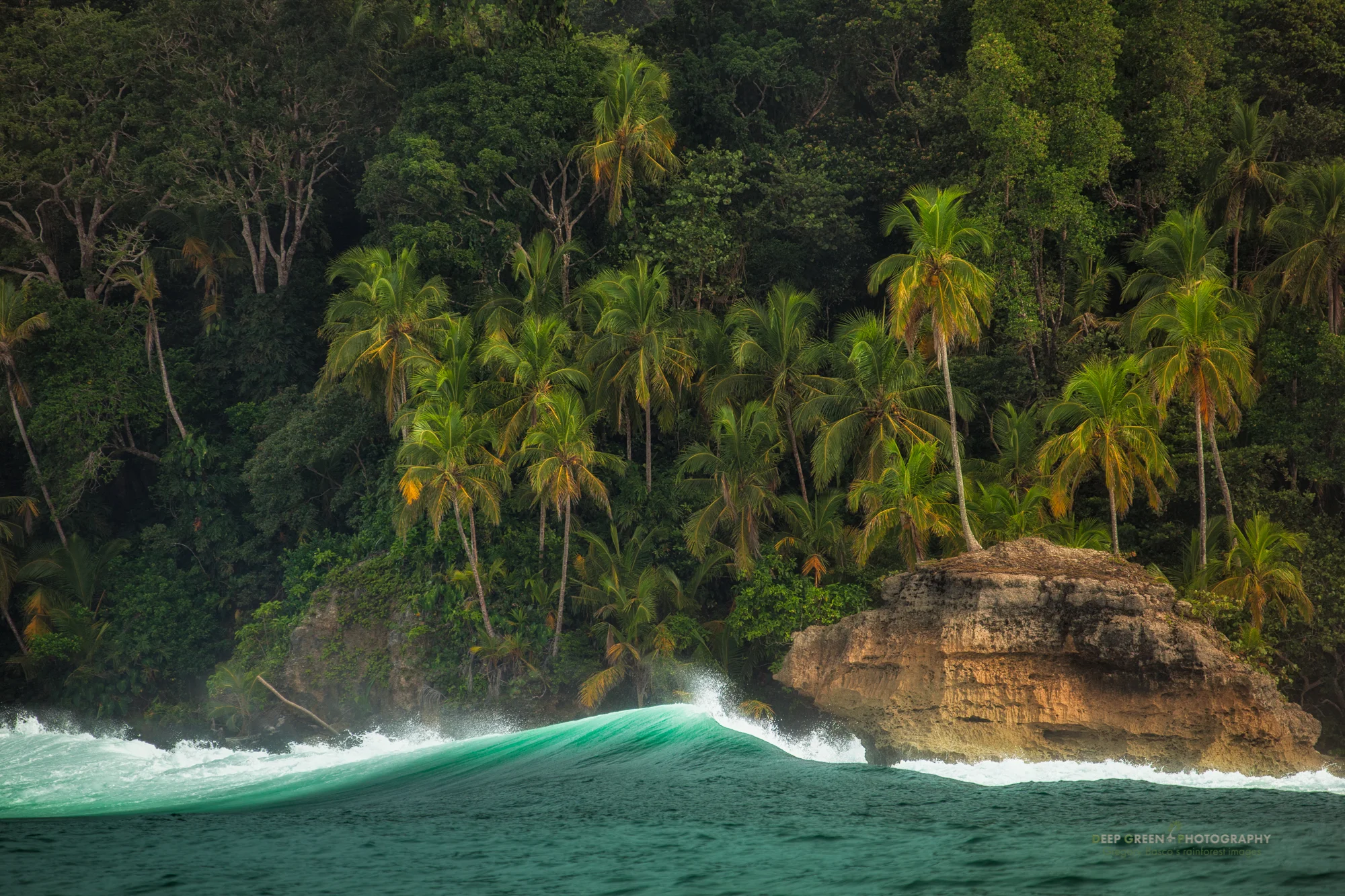 breaking waves against rainforested coast of the Gandoca-Manzanillo wildlife refuge, taken from a small fishing boat in the ocean