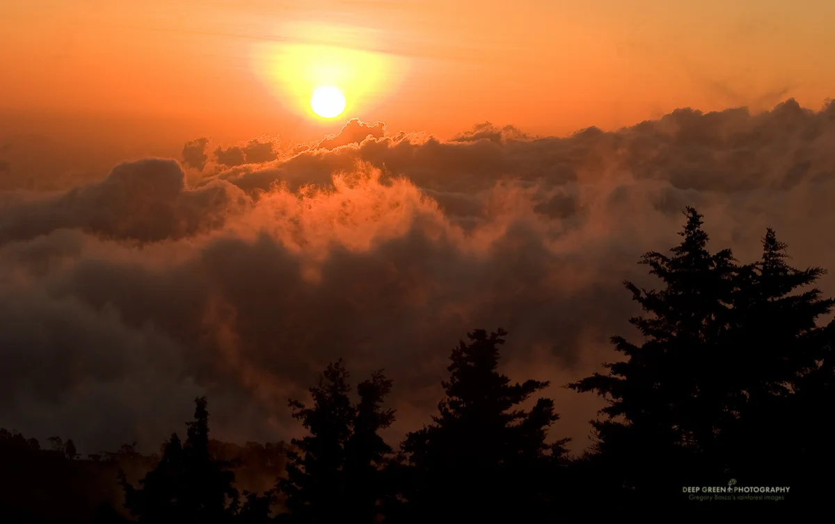 Processed RAW file
