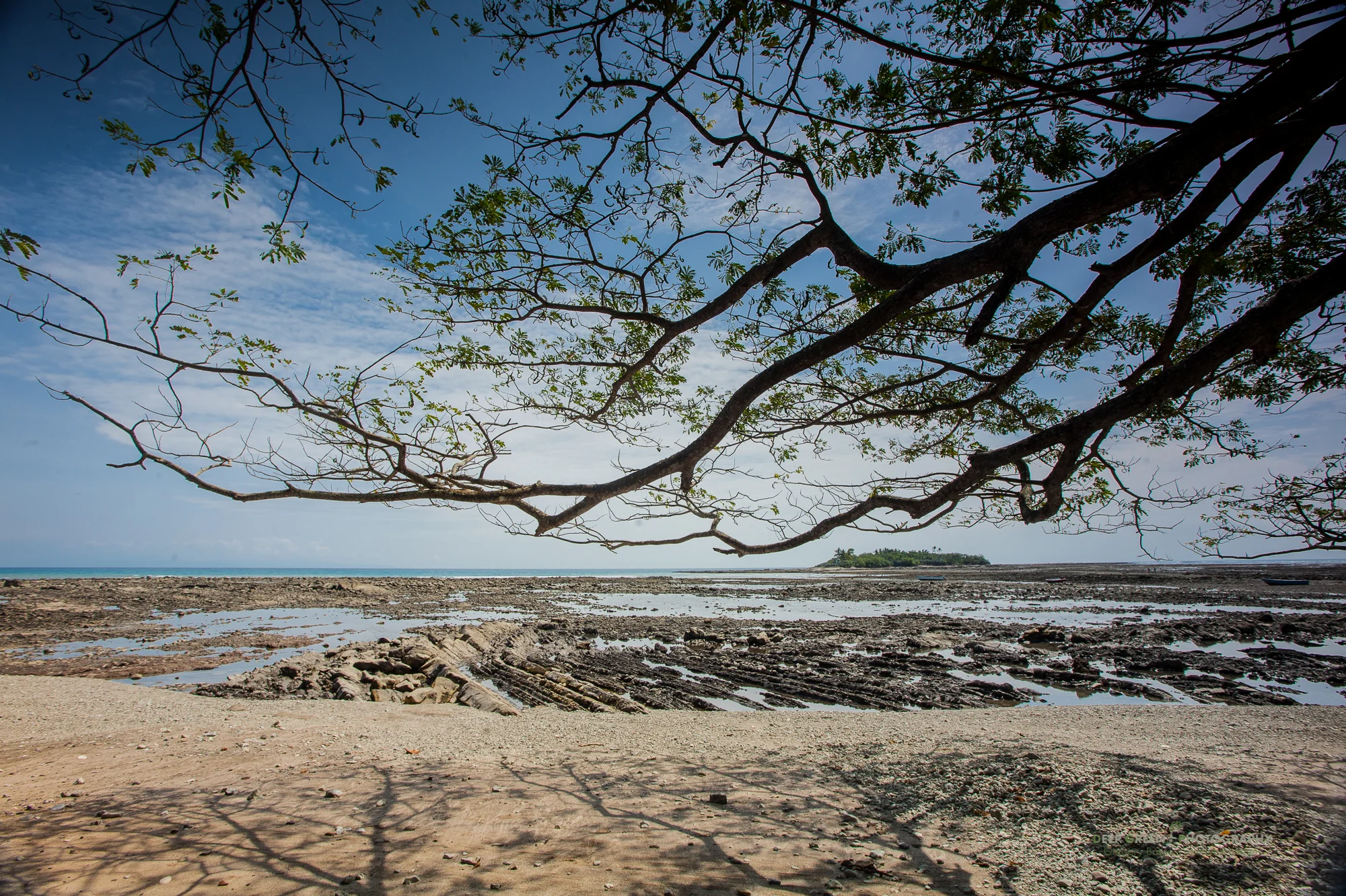 Tropical dry forest tree and rocky beach at low tide near Playa Montezuma on Costa Rica's Nicoya Peninsula