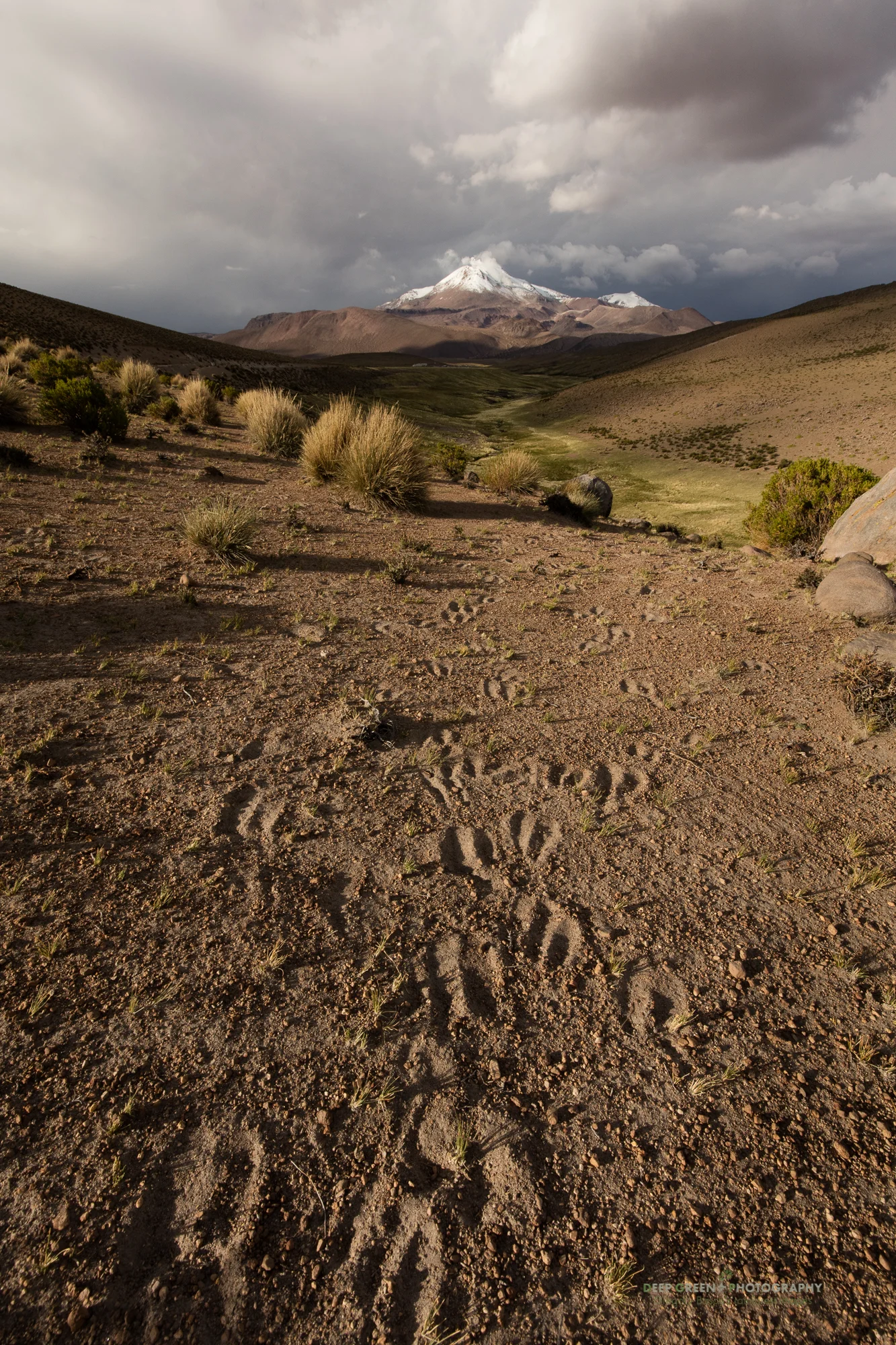 DGPstock-landscapes-192.jpg
