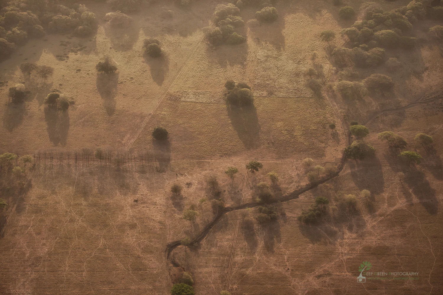 Deforestation for cattle ranching and agriculture is an ongoing threat to the tropical dry forests of Costa Rica's Guanacaste province.