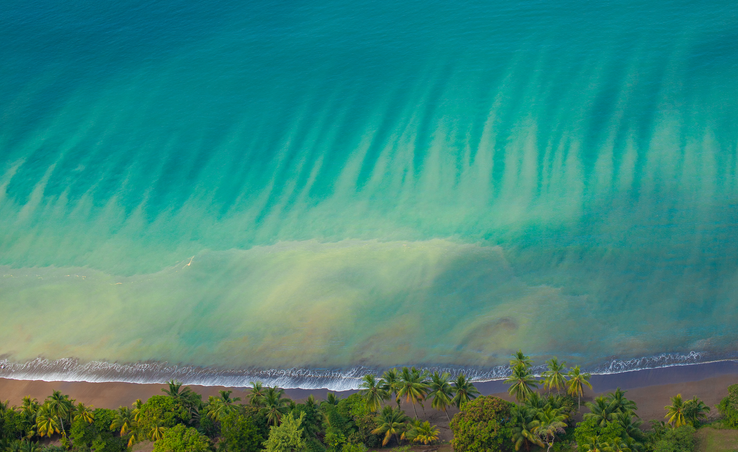 Beach near Drake Bay on Costa Rica's Osa Peninsula, one of the most biodiverse places on the planet