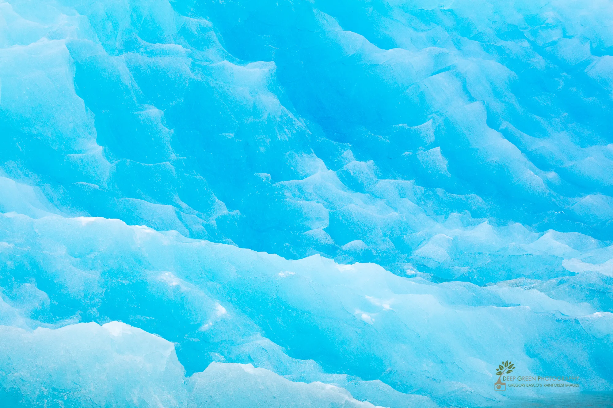 Glacial scene, Grey Lake, Torres del Paine National Park, Chile