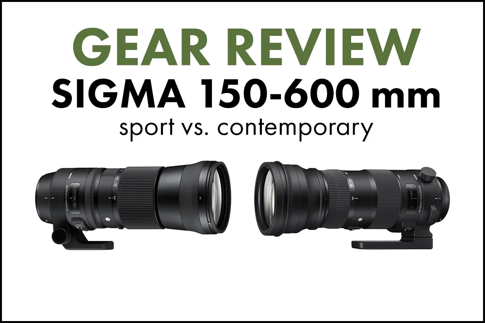 Gear Reviews Blog Archive Deep Green Photography