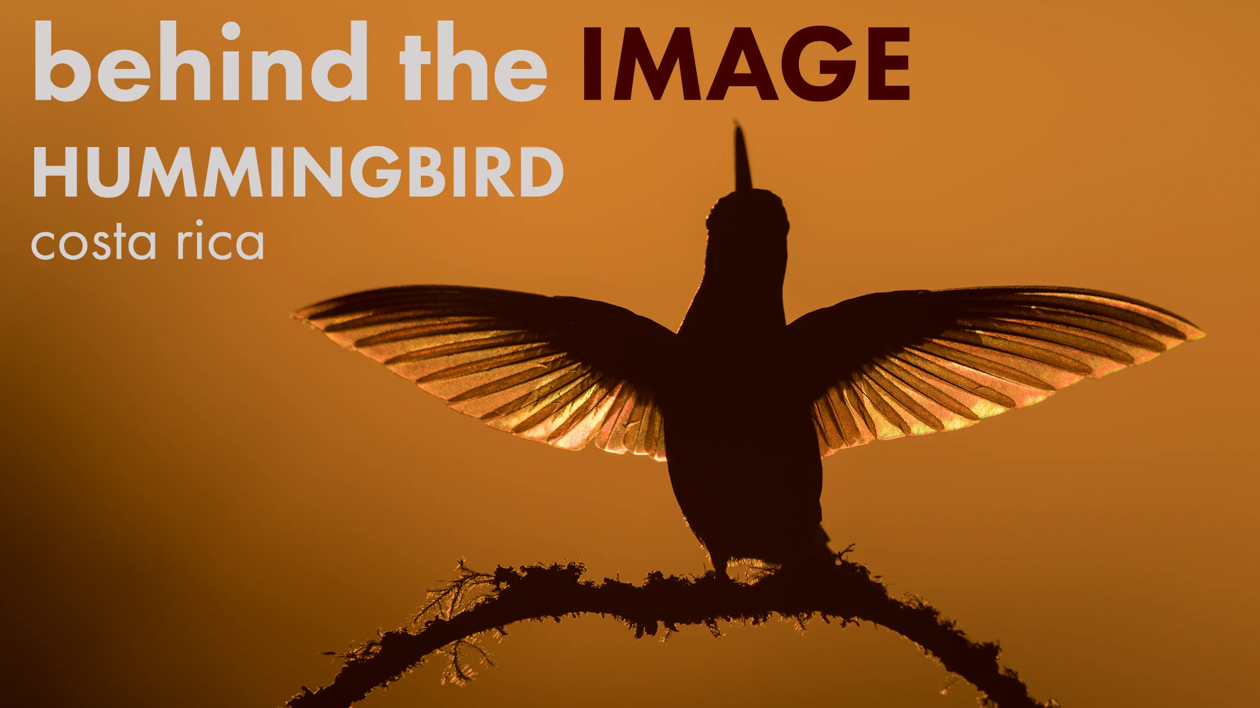 sunset-hummers-post-banner.jpg