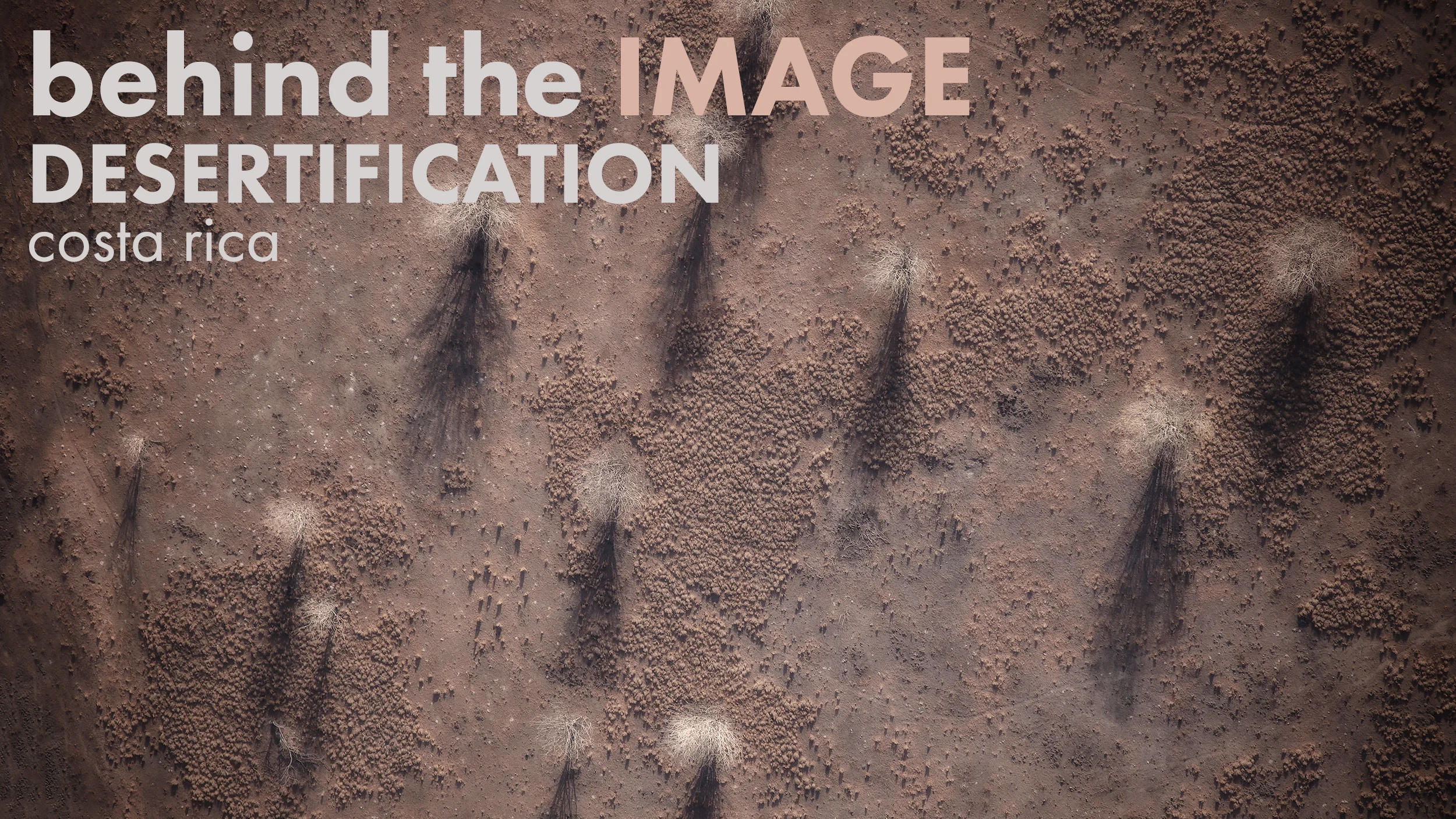 desertification-banner.jpg