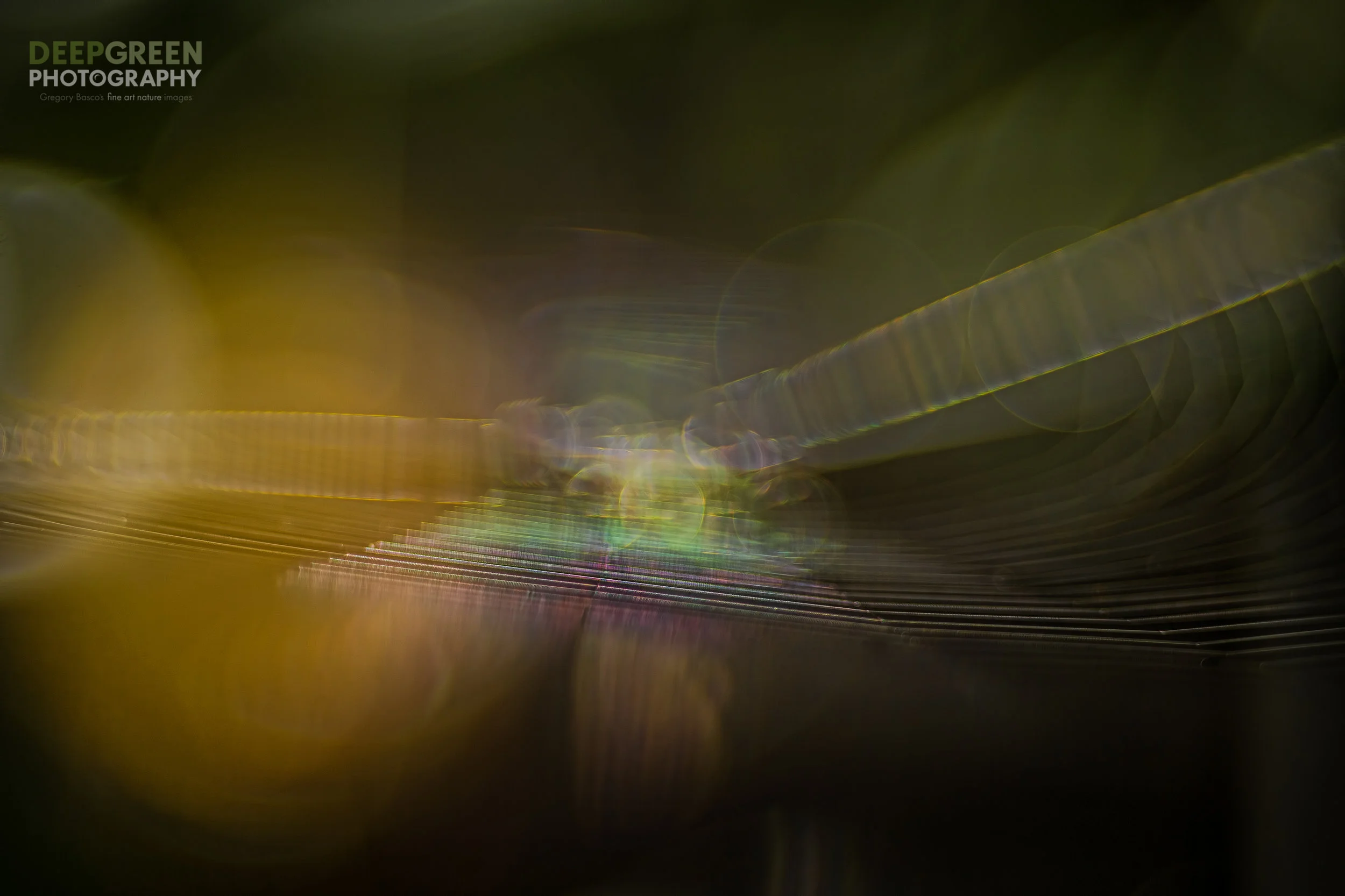 This tiny section of a spider web in a Costa Rican cloud forest showed off some amazing colors as the sun shone through it. I used a 100 mm lens with extension tubes and a wide aperture to capture this image.