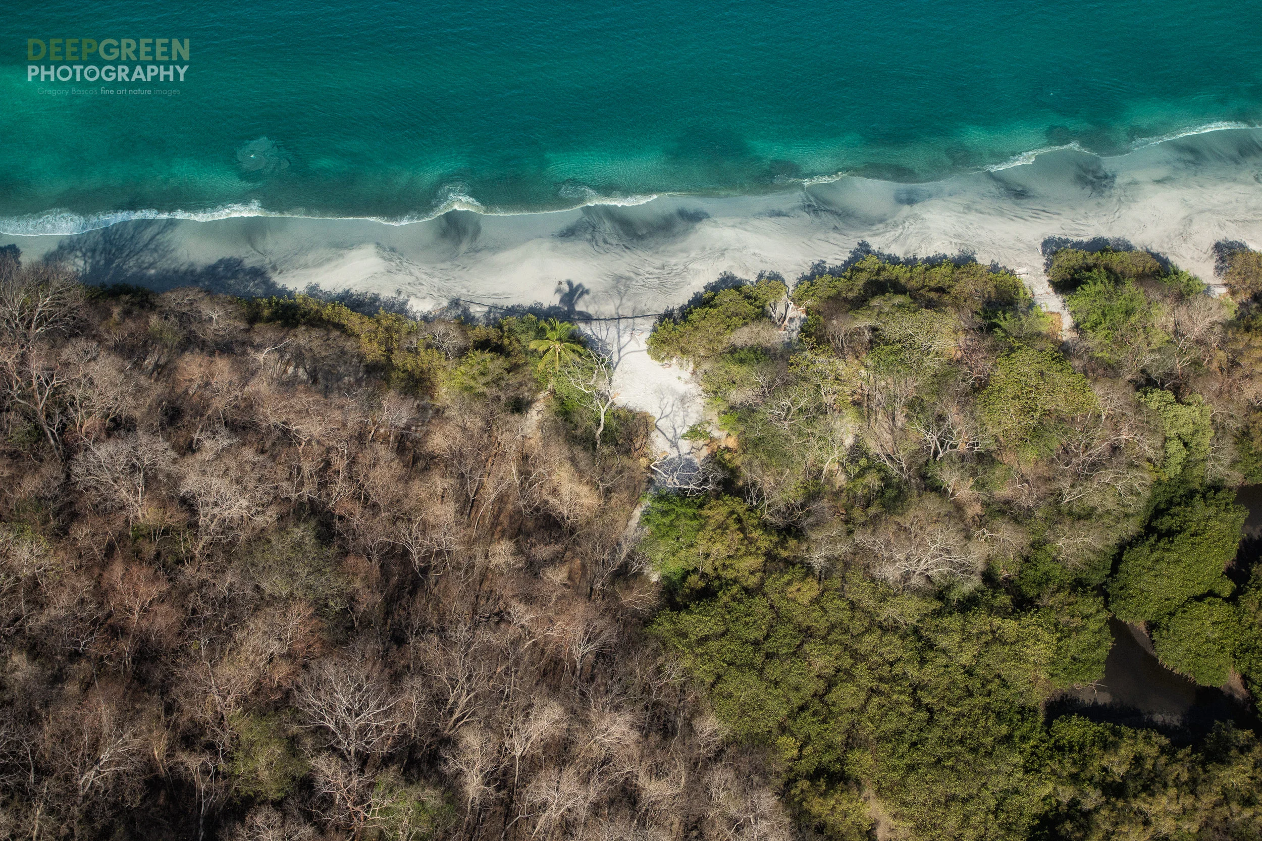 Tropical dry forest meets the Pacific Ocean in Costa Rica's Guanacaste province.