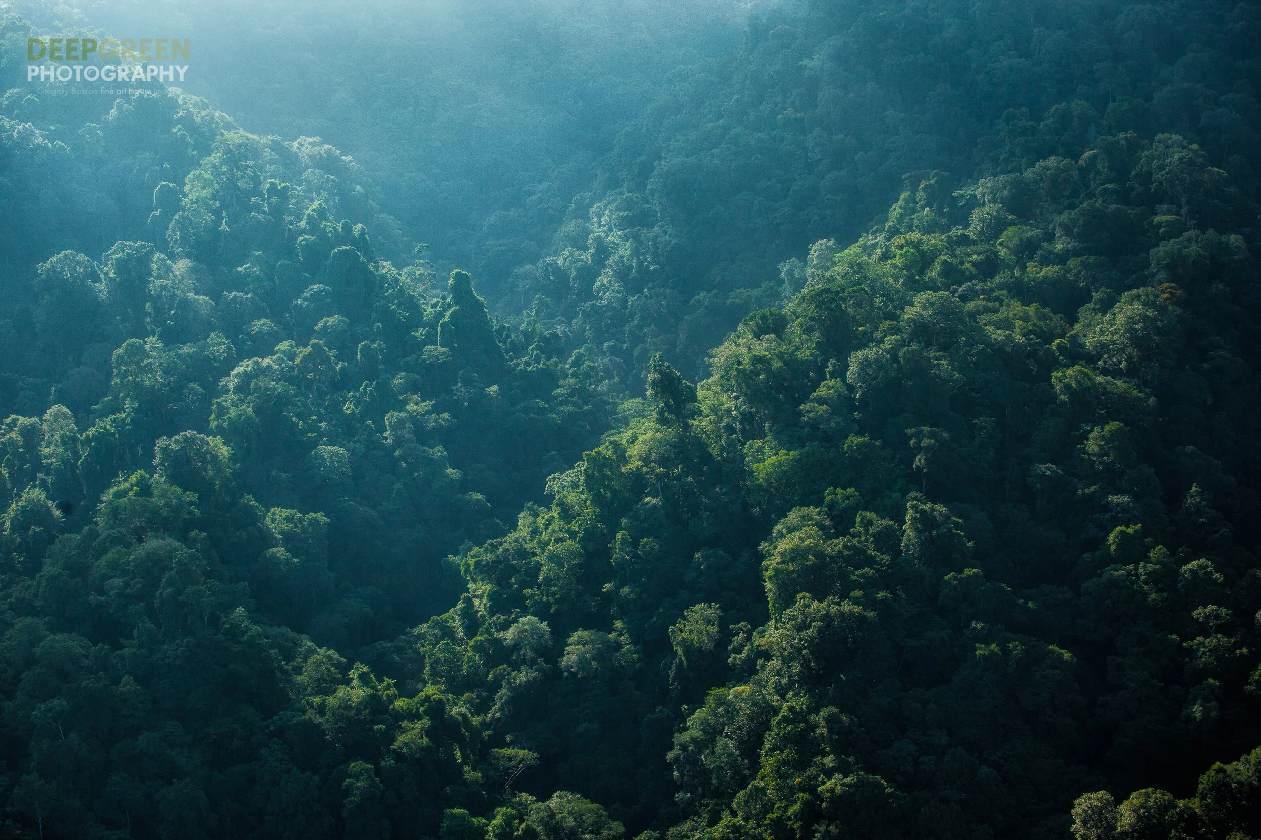 Aerial view of rainforest in Costa Rica's Corcovado National Park