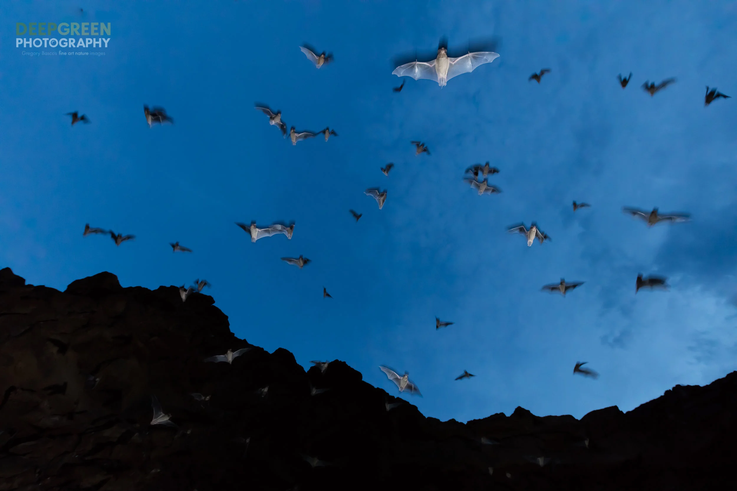 DGP-photoprojects-amendaris2015-15.jpg
