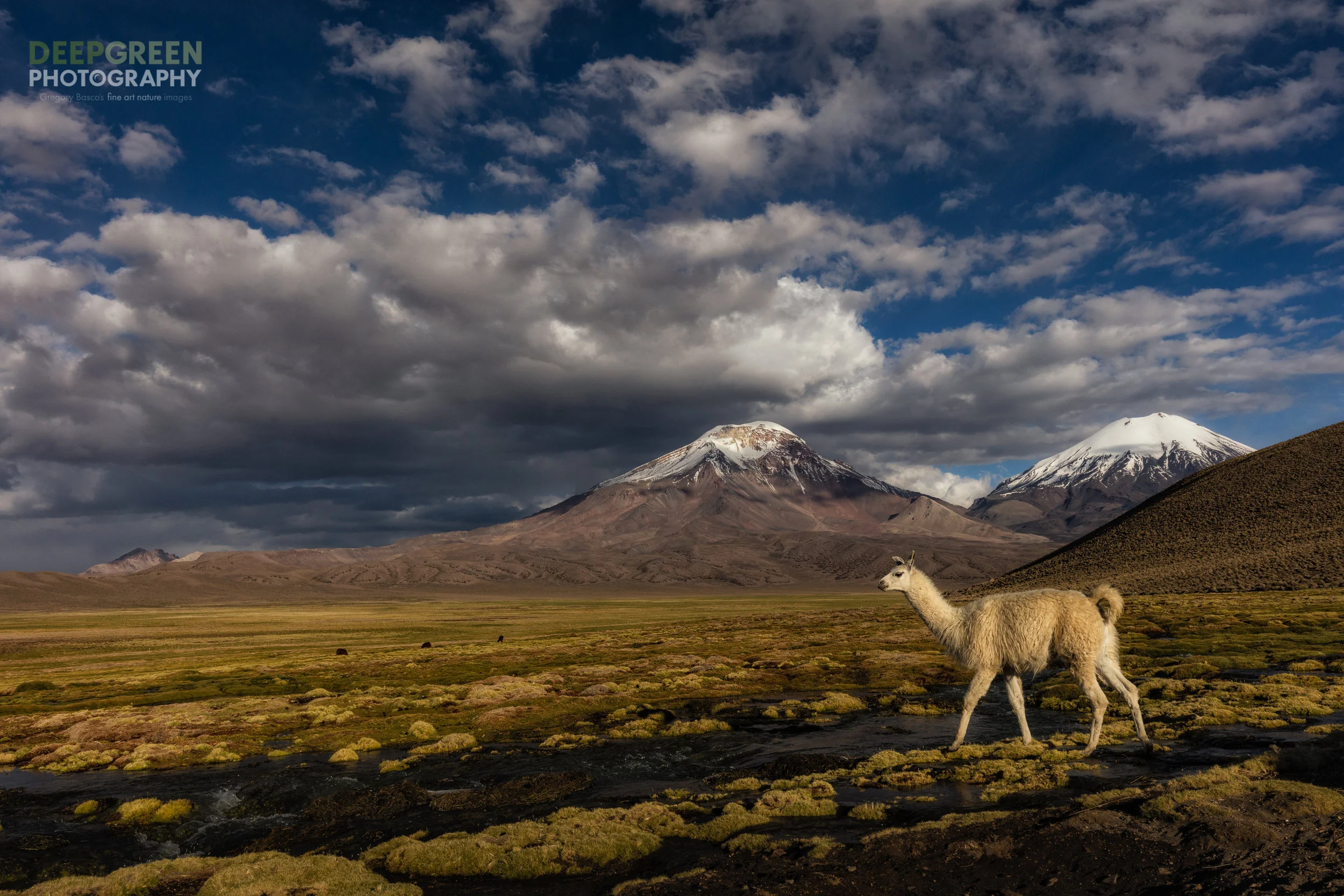 An Altiplano Classic