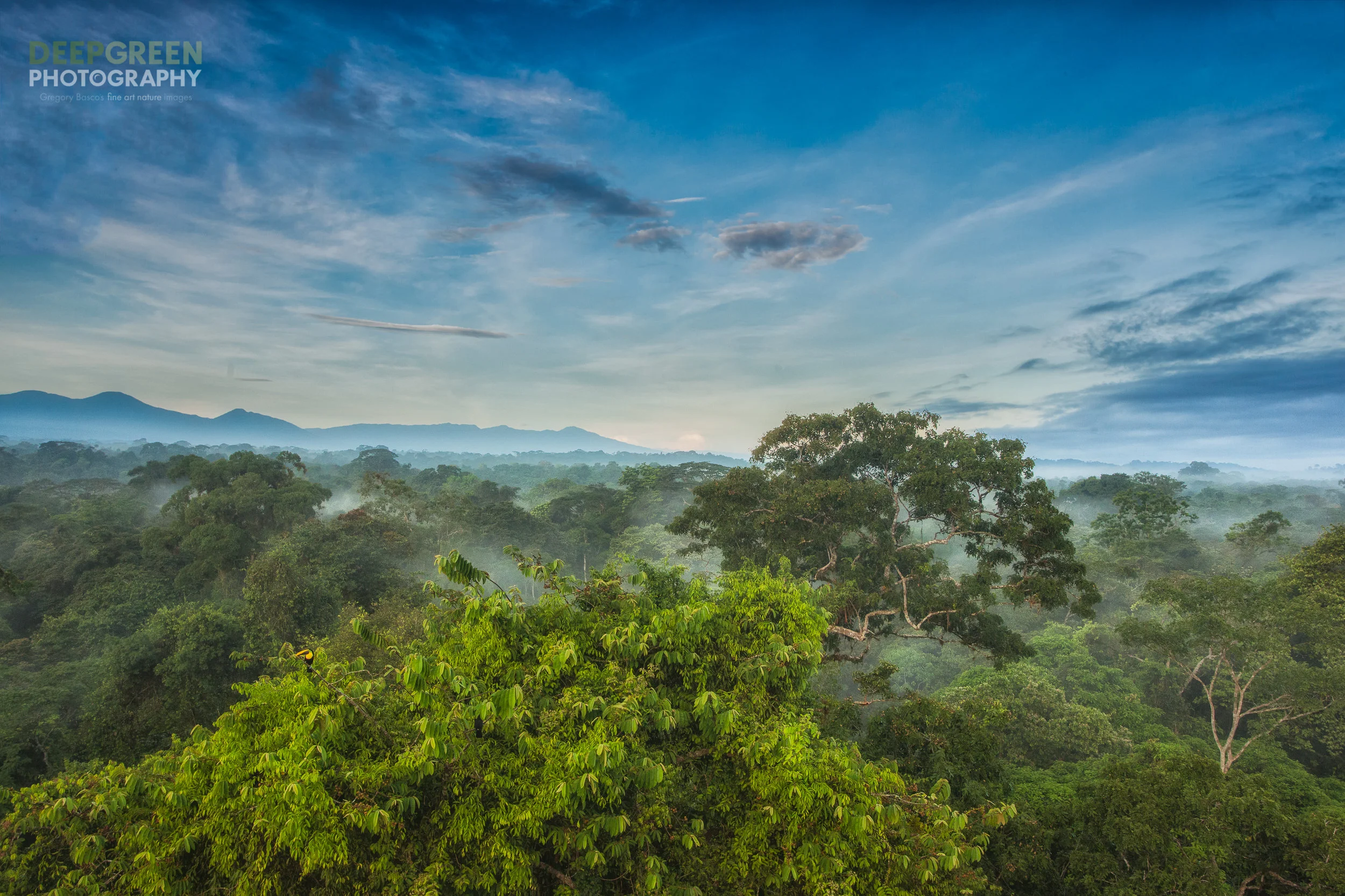 LA SELVA SUNRISE