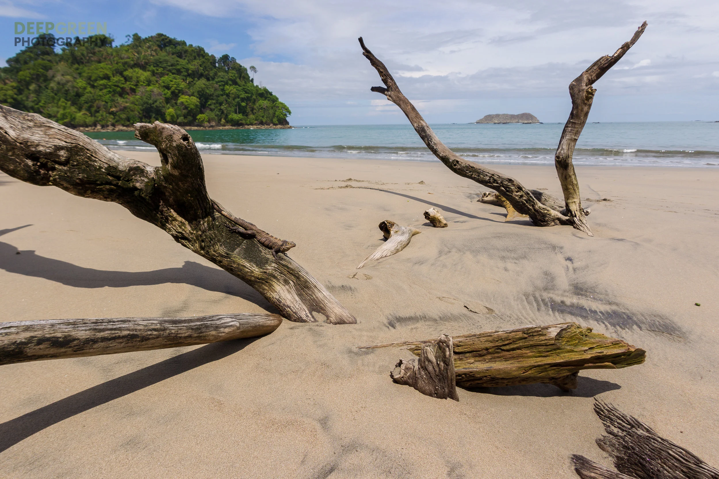 NATURAL SCULPTURE
