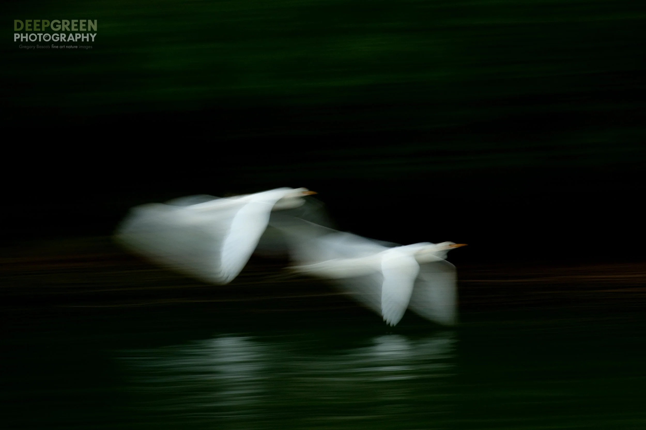 DAWN FLIGHT
