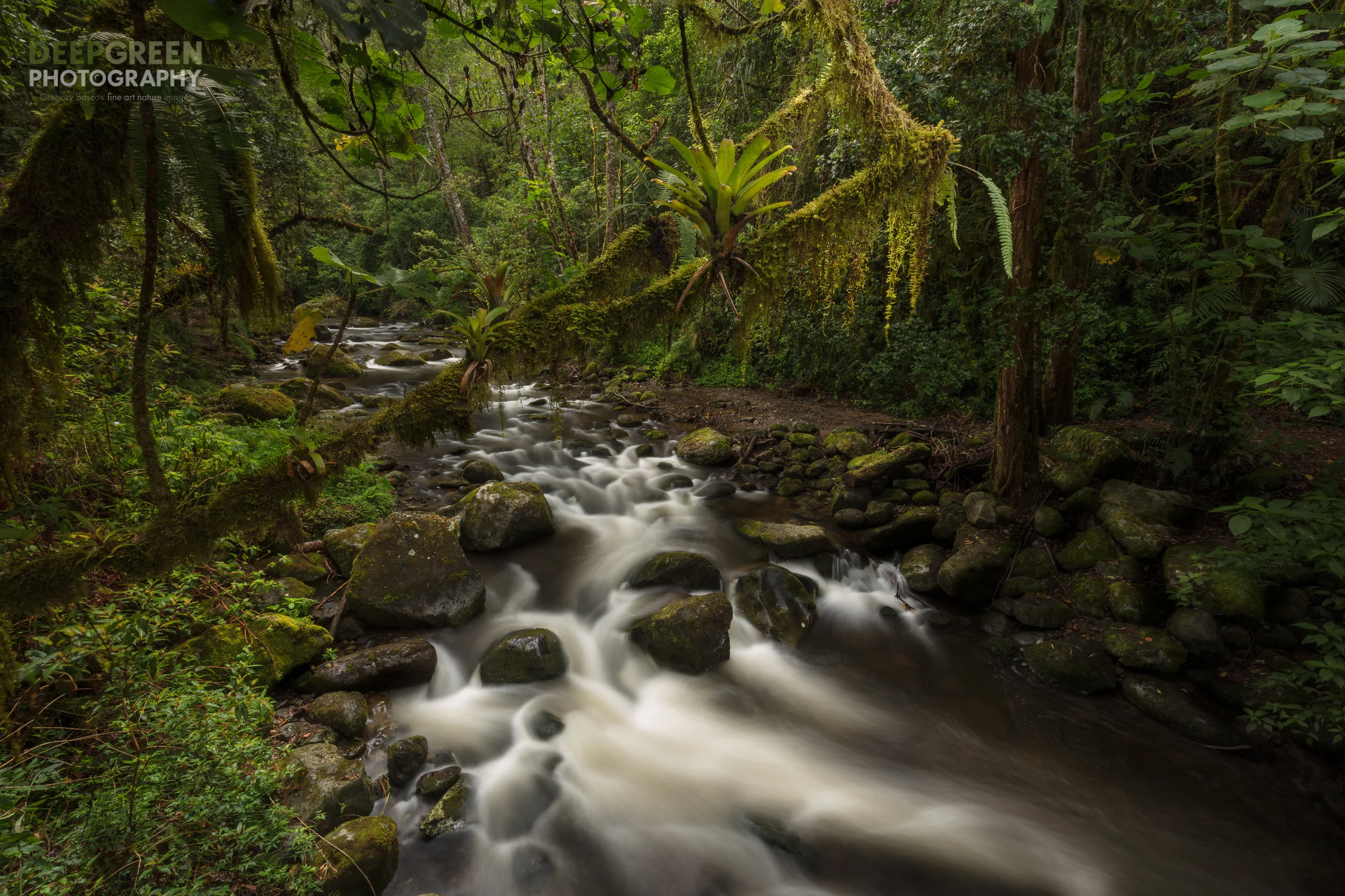 The Savegre River forms the central vein of a new UNESCO biosphere reserve in Costa Rica. I used a long exposure and off-camera flash to try to capture lush tropical yet enchanted feel of this area of the country.