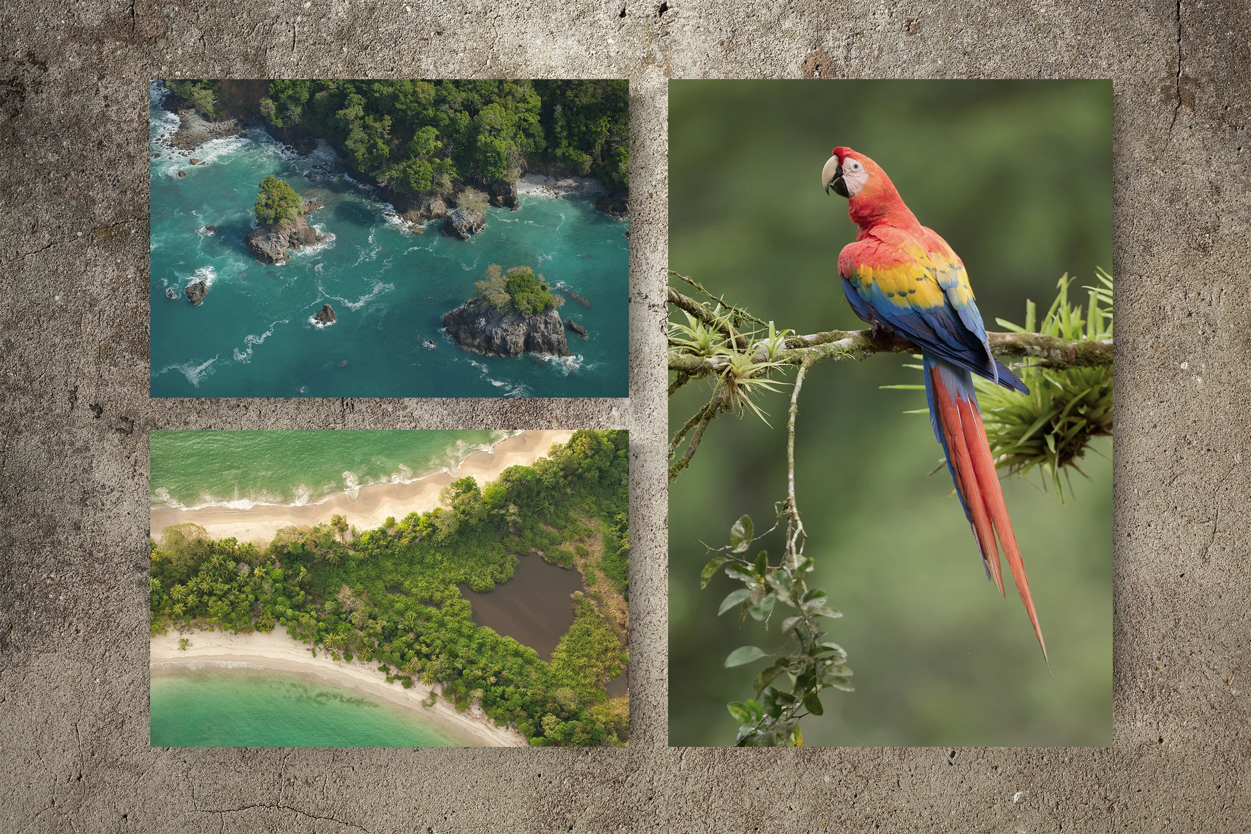 prints-banner-mockup2.jpg