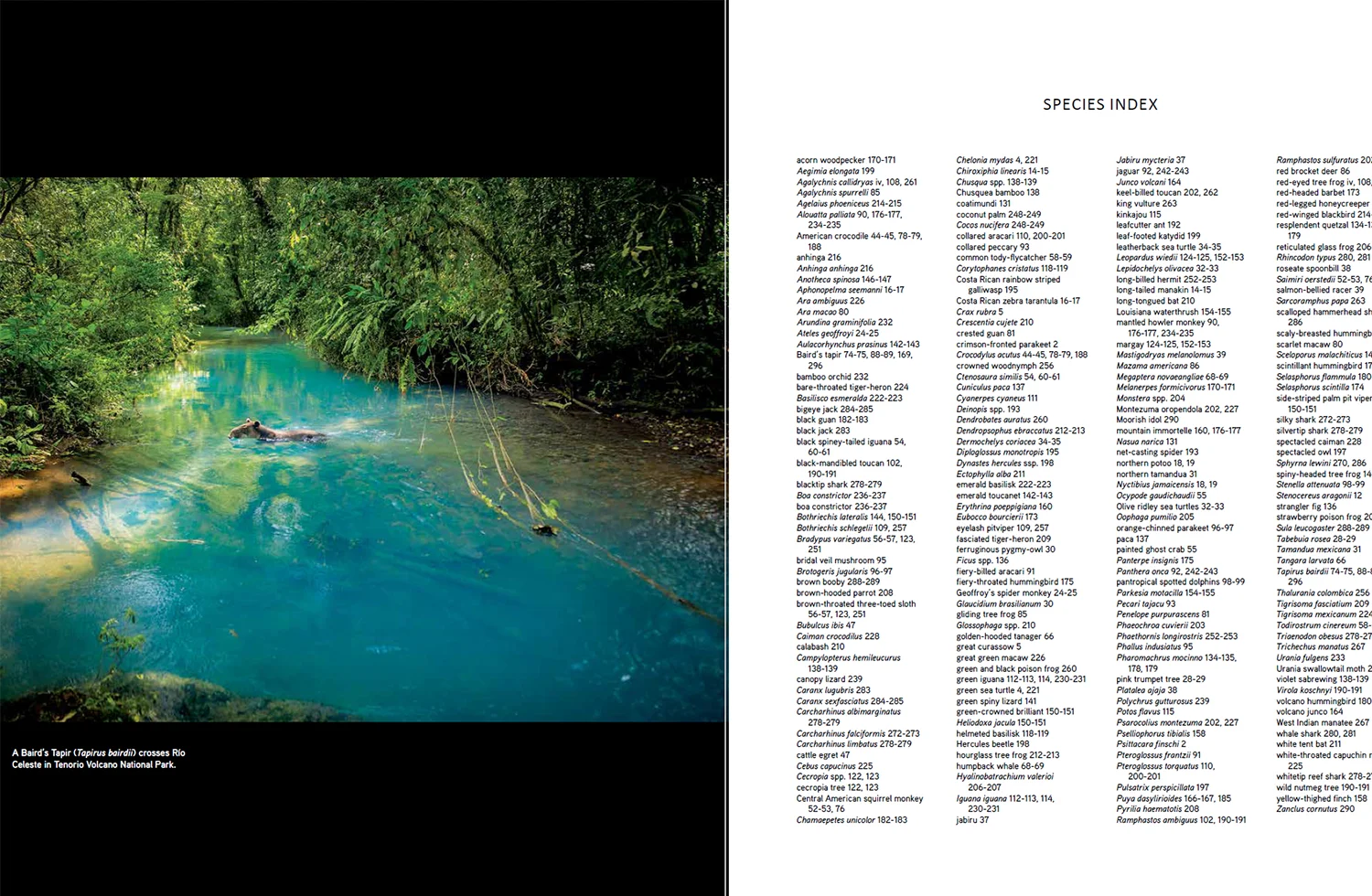 CR-book-index.jpg