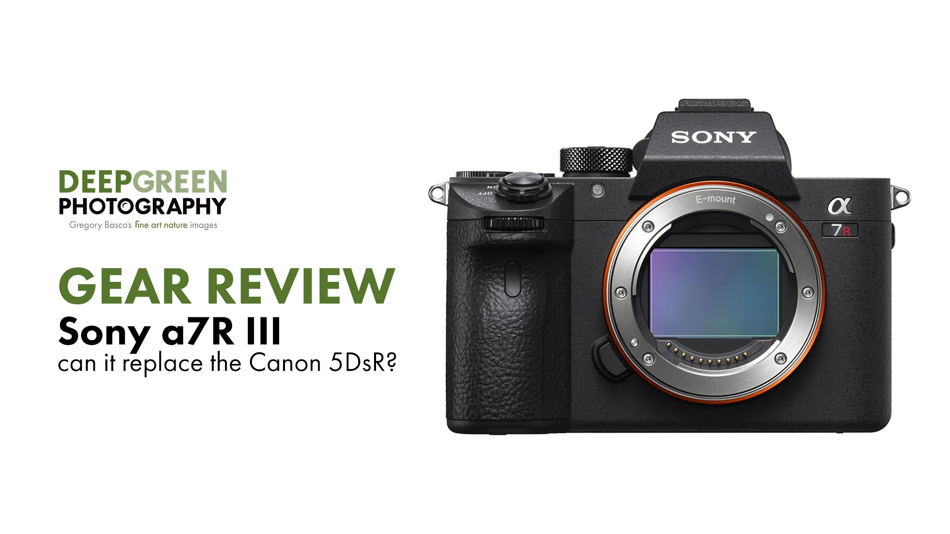 GEAR Sony a7R III, Can it replace the Canon 5DsR? — Deep Green