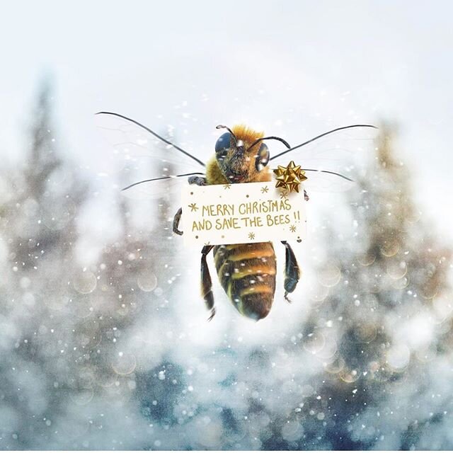 Merry Christmas + HapBEE Holidays from our hive to yours!❤️🐝 Thanks for all of your sweet support in 2019! We look forward to flying into 2020 with you and spreading love, light + local honey! ✨🍯
...
📷 from the 1st bee influencer + super bee suppo
