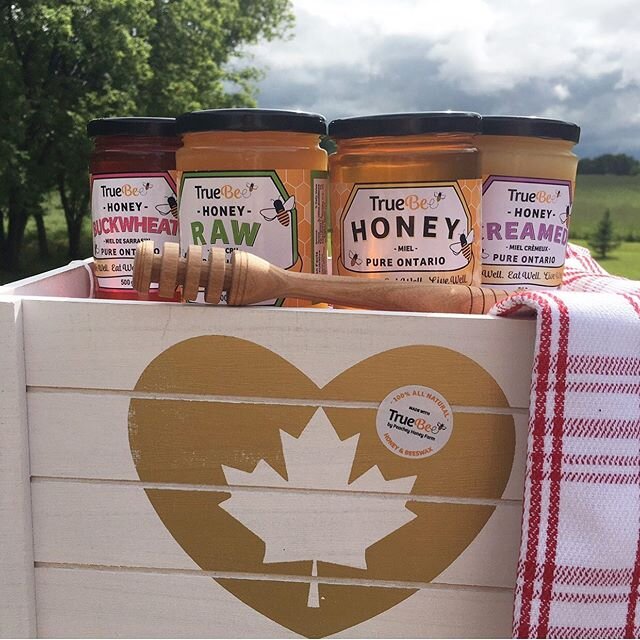 HapBEE Canada Day weekend, hive tribe!
🐝🇨🇦
...
Share the BUZZ: TrueBee is proudly Canadian and every jar of our delicious, local Ontario honey celebrates the sweet tastes of our Canadian summers and unique flora &amp; landscape.🍁🍯
...
Enjoy in y