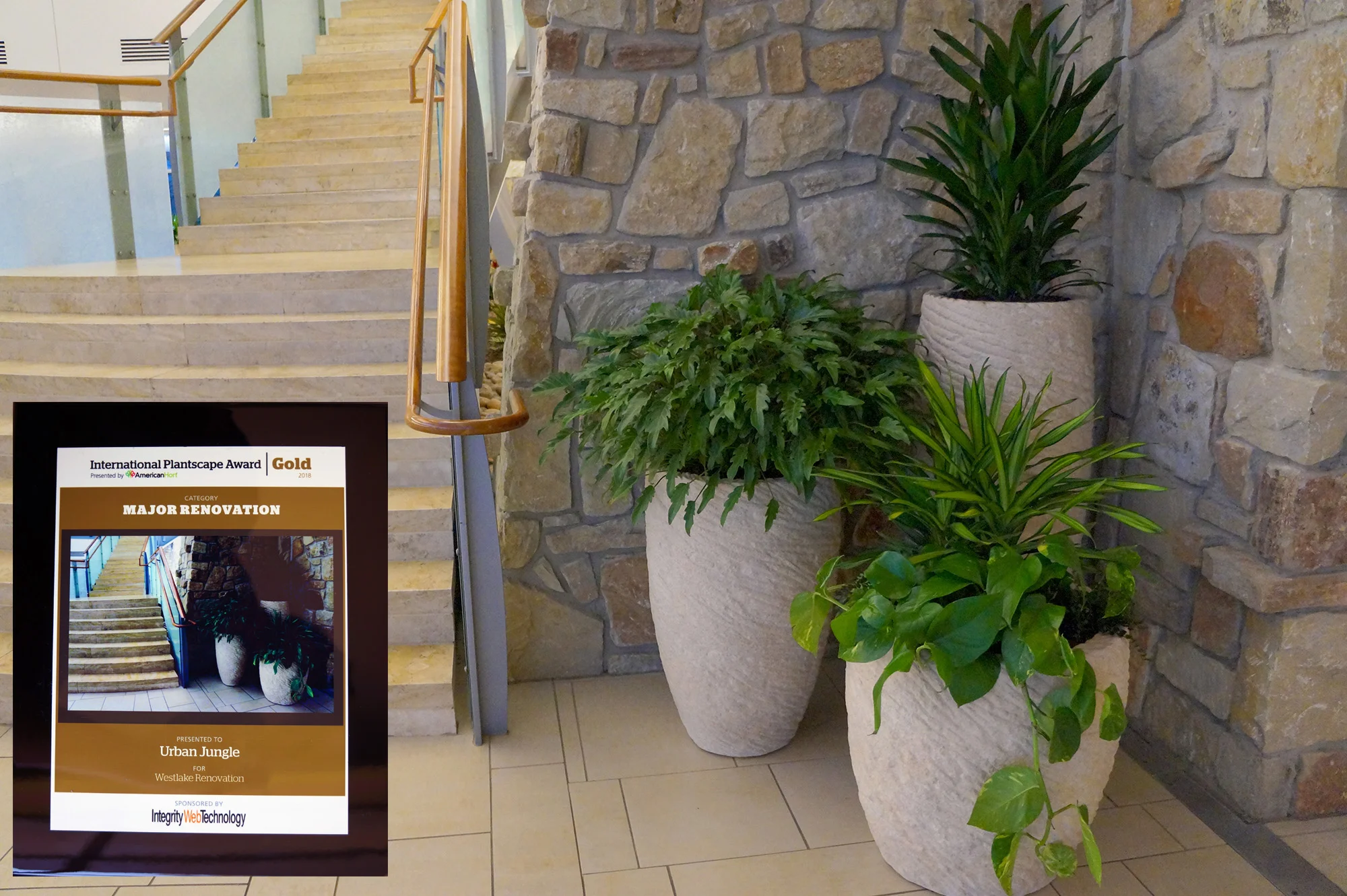 Westlake Renovation Website.jpg