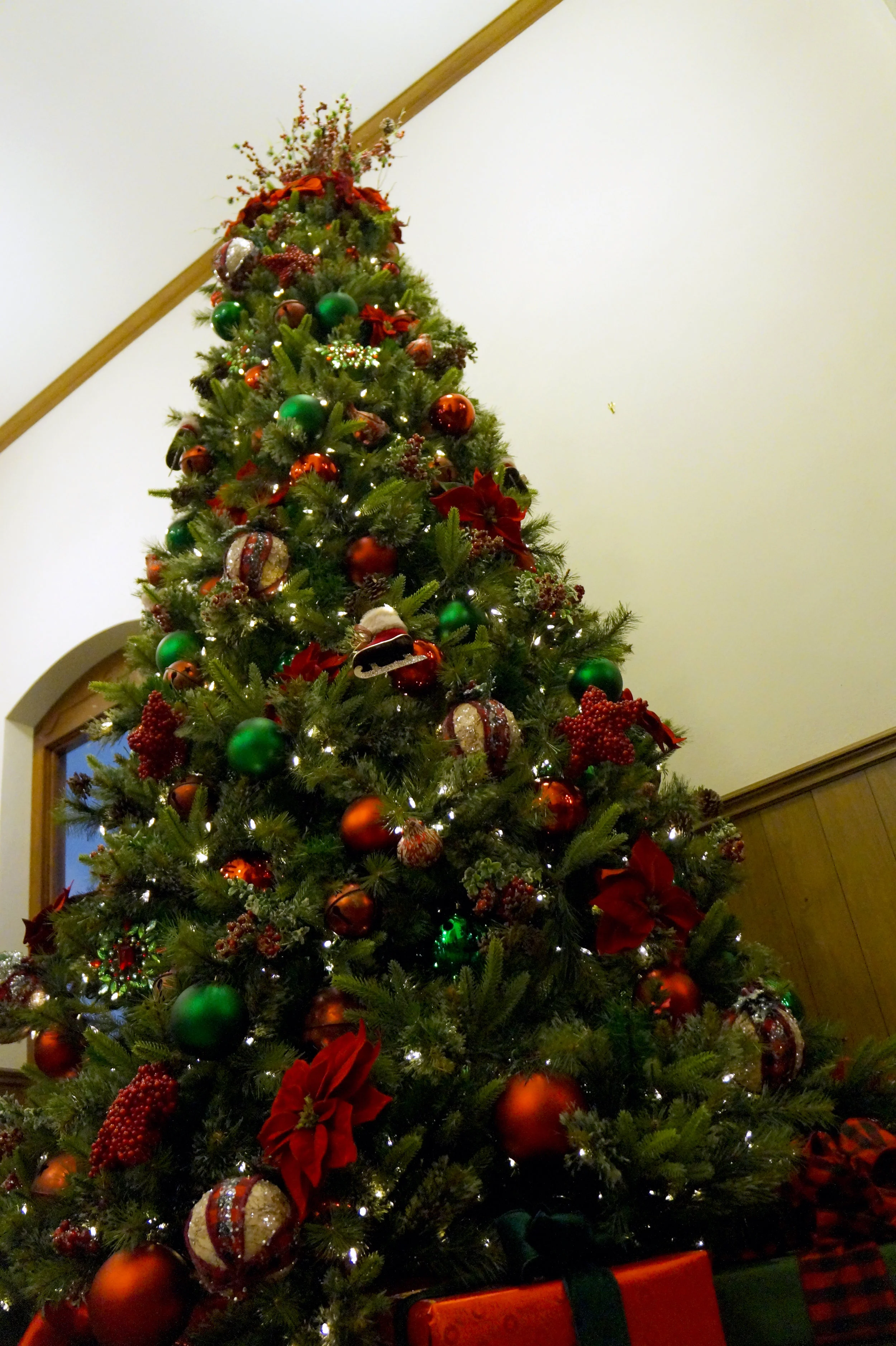 DSC04614.JPG