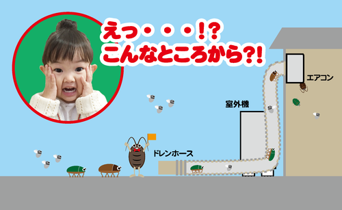 ご自宅のゴキブリ 害虫対策は万全ですか 空気の王様 レンタル クリーニング ご自宅のゴキブリ 害虫対策は万全ですか 空気の王様 レンタル クリーニング