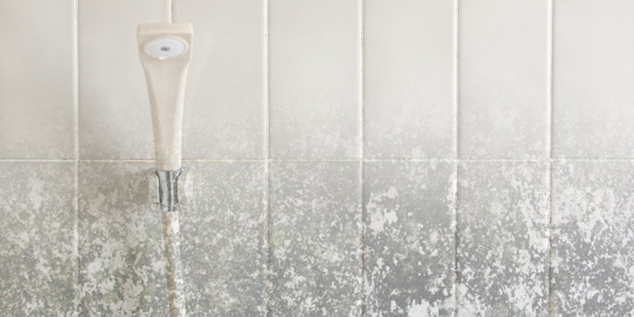 お風呂掃除の最適な頻度とは 業者が教える正しい掃除方法5選をご紹介 レンタル クリーニング