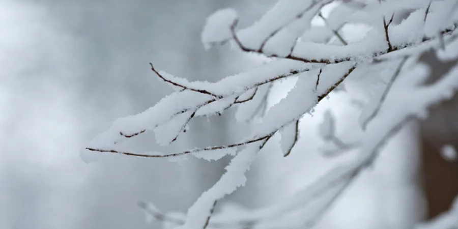 大掃除に適切な時期っていつ 大掃除を1日で終わらせるためには 空気の王様 レンタル クリーニング