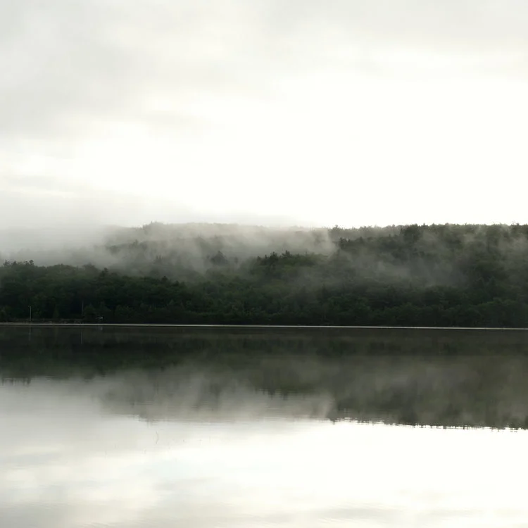 Dublin Lake Study 1