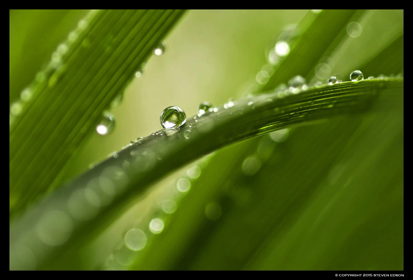 Water Drop