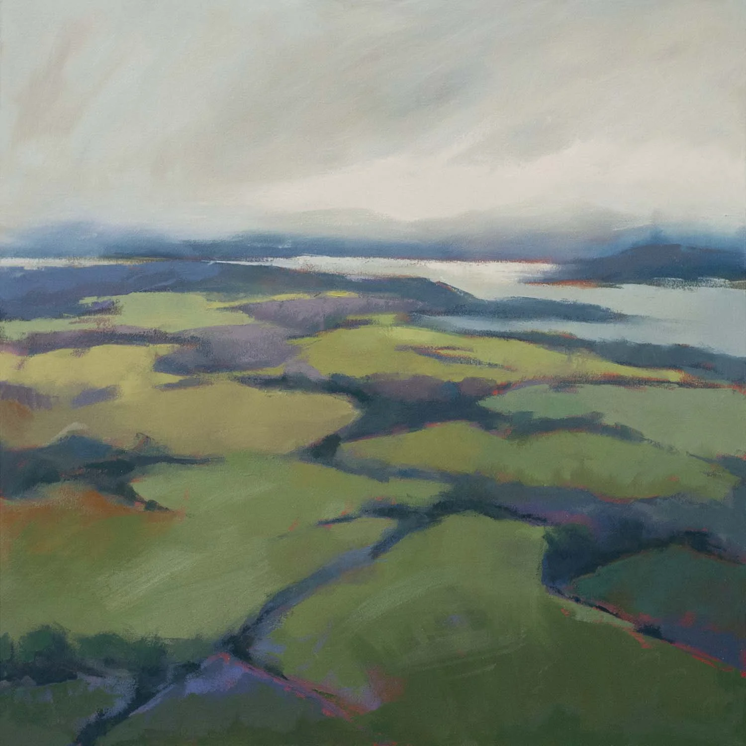 Patchwork Fields