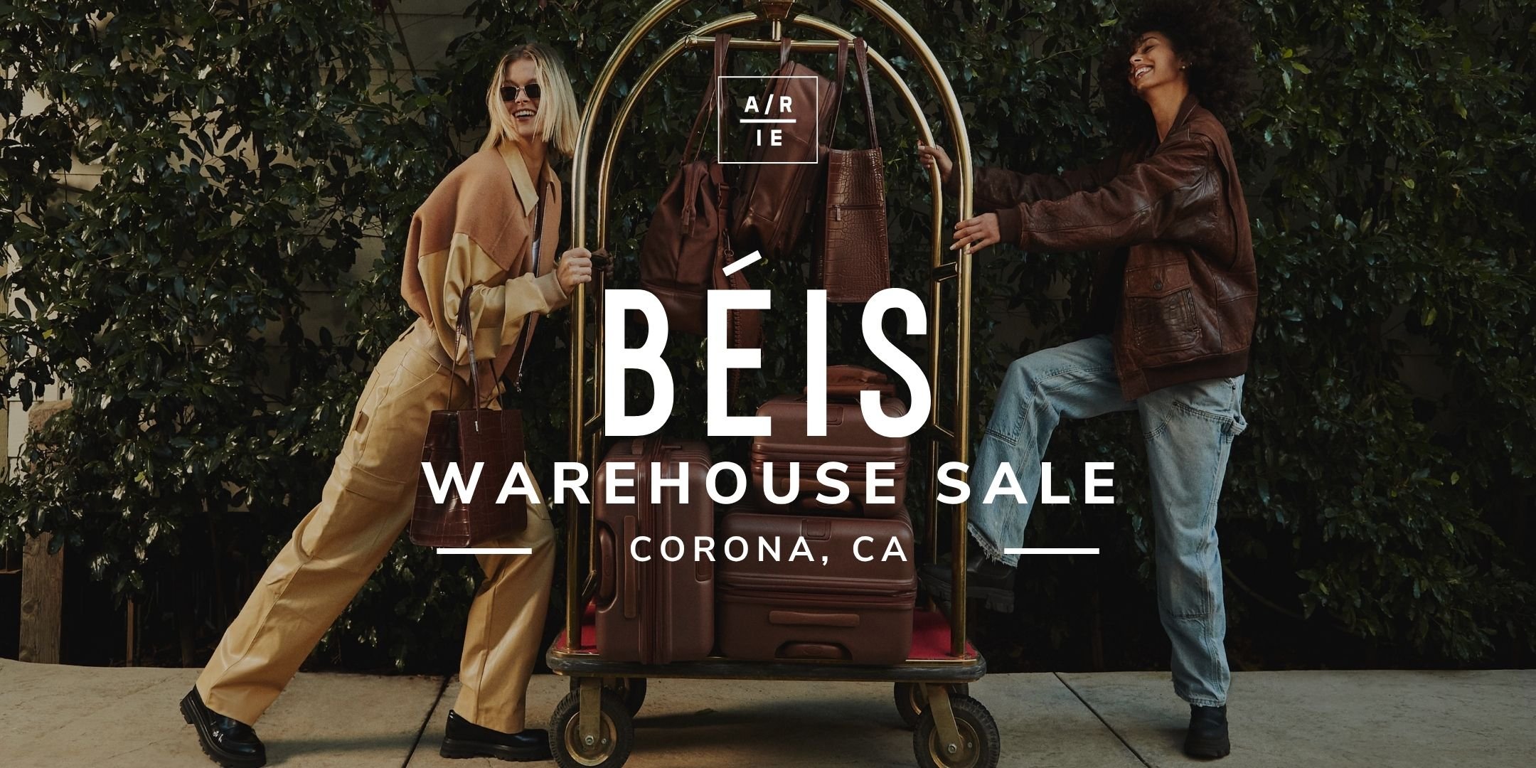 BEIS - ARIE - EB Banner.jpg