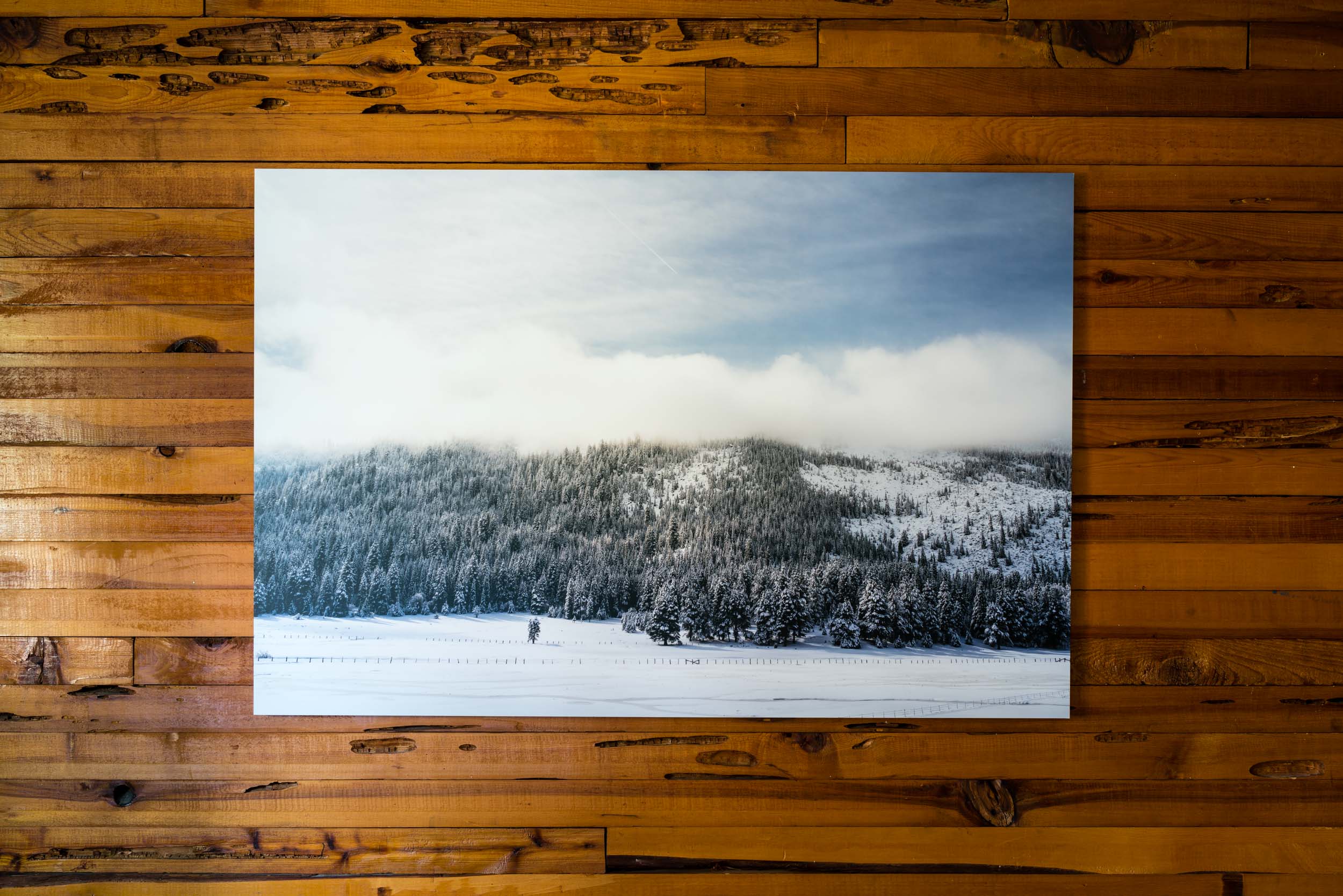 prints10.jpg