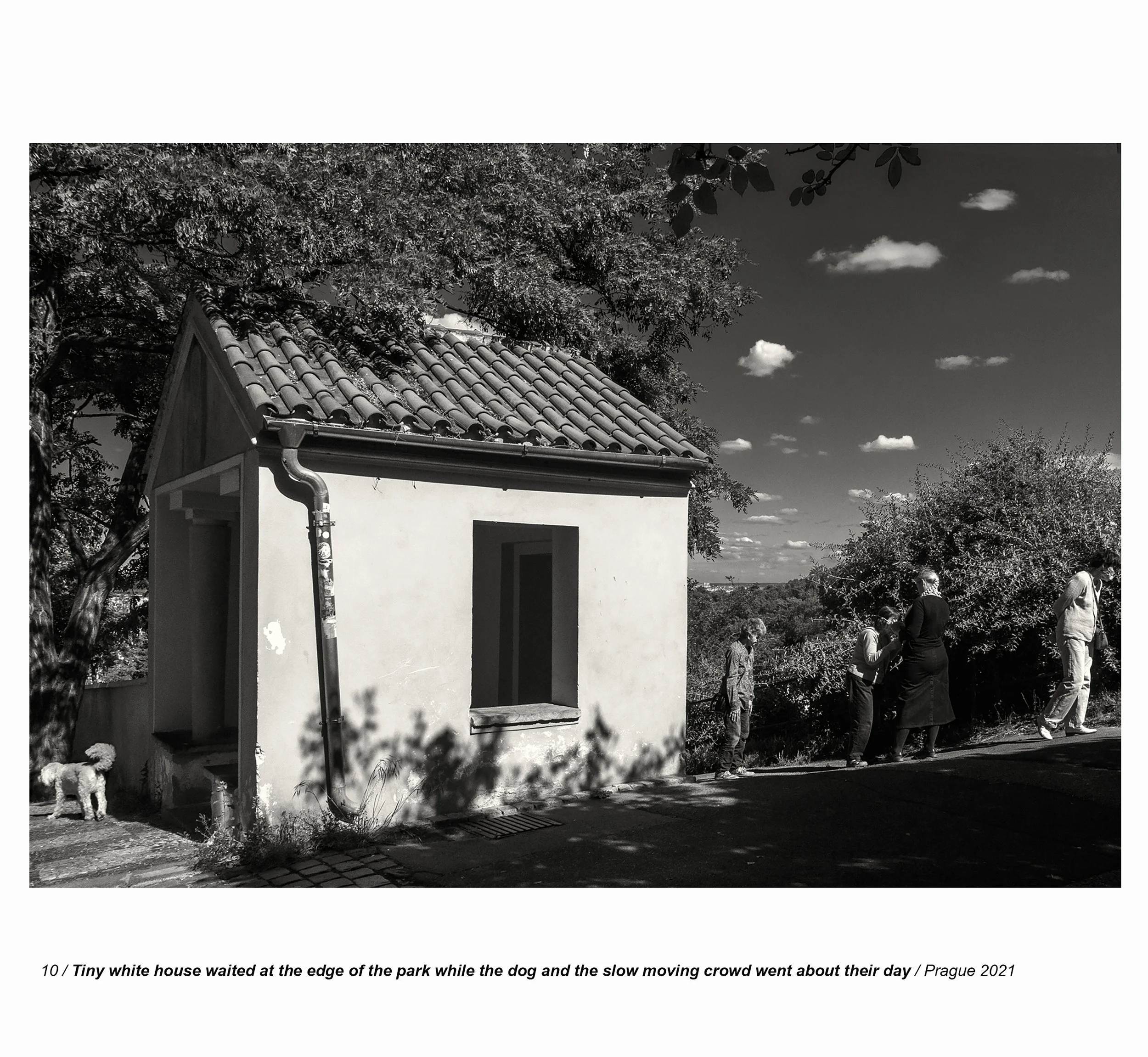 Personal book 14 copy.jpg