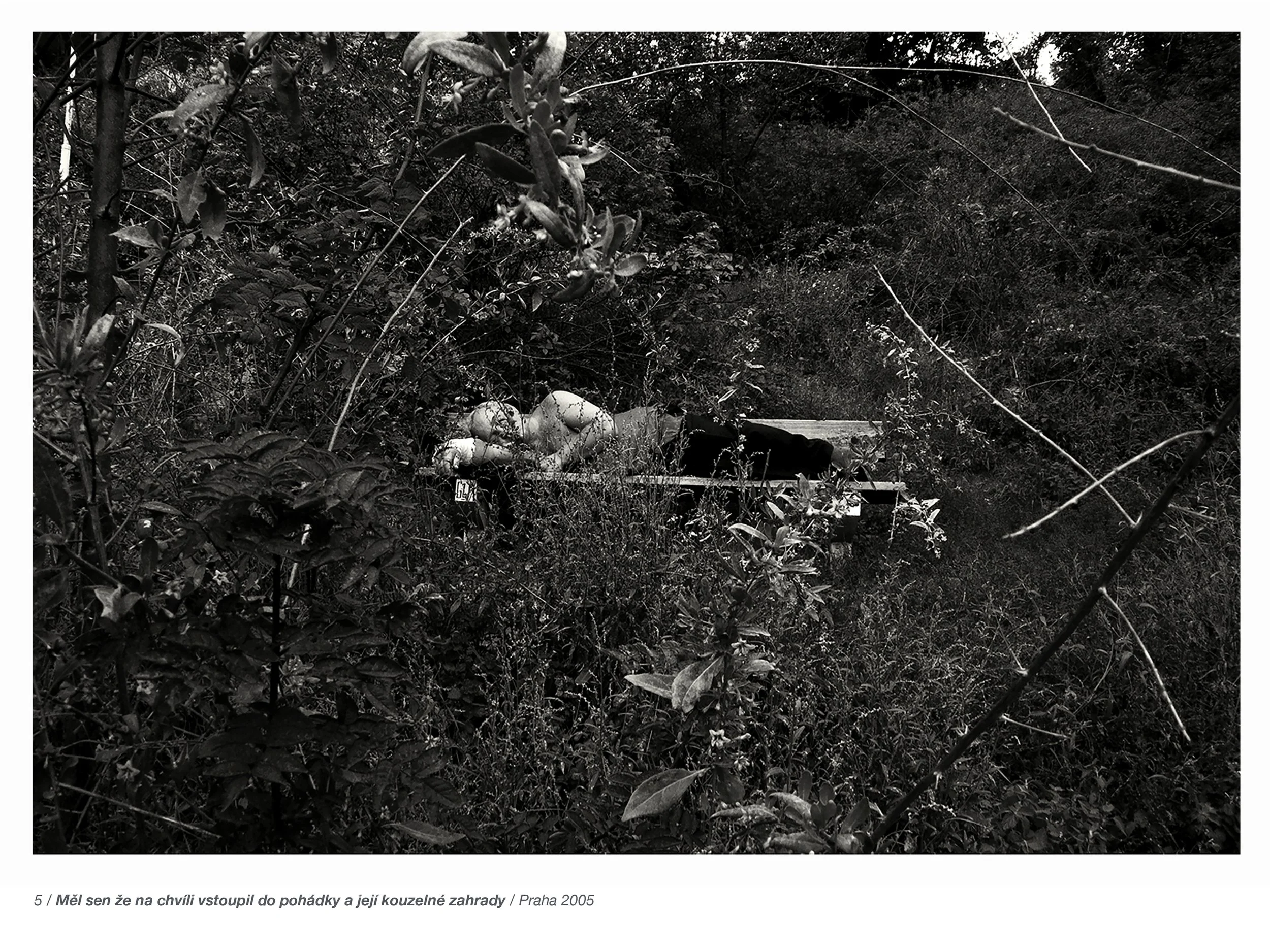 Presentation 17-6.jpg