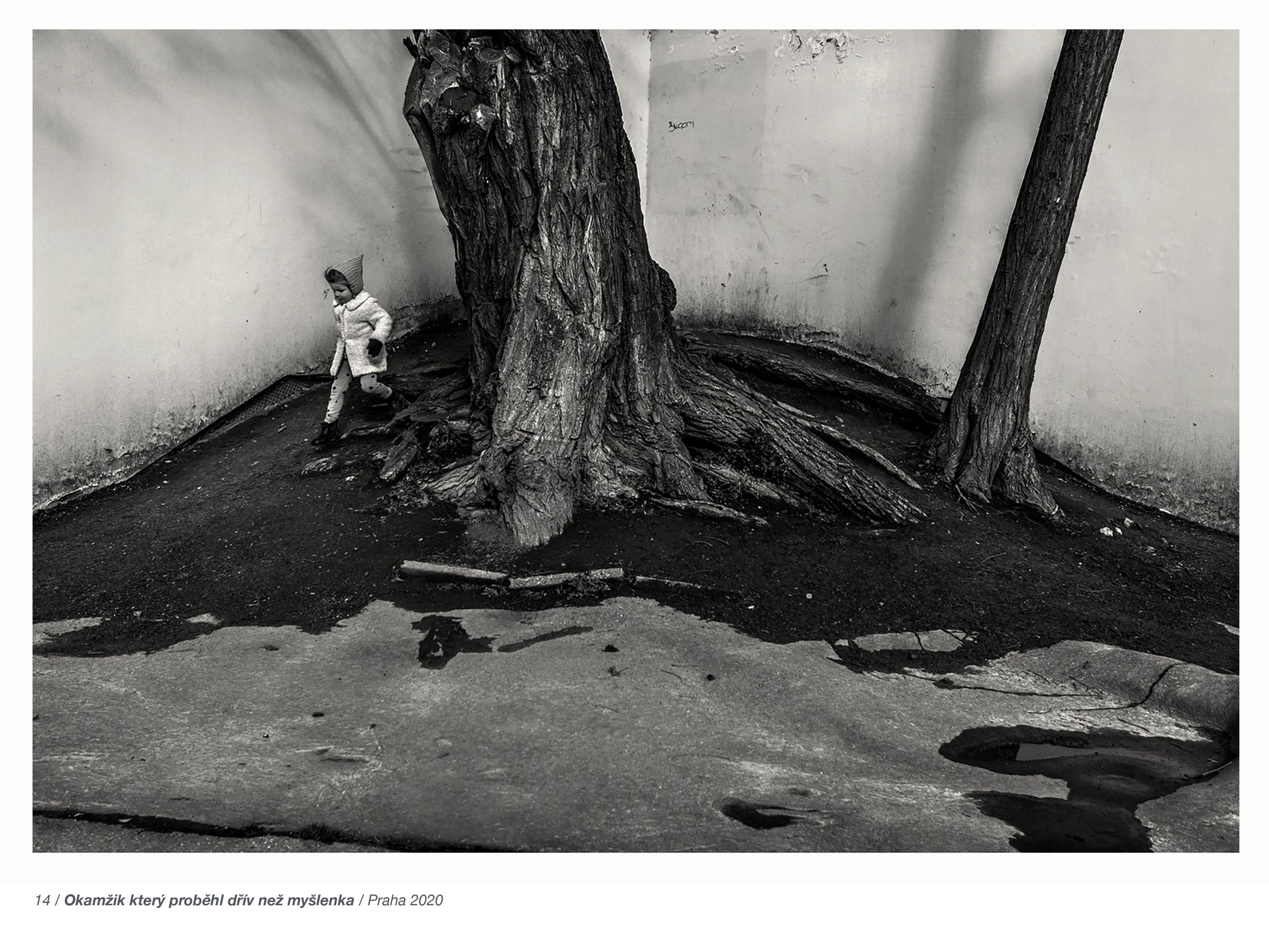 Presentation 17-15.jpg