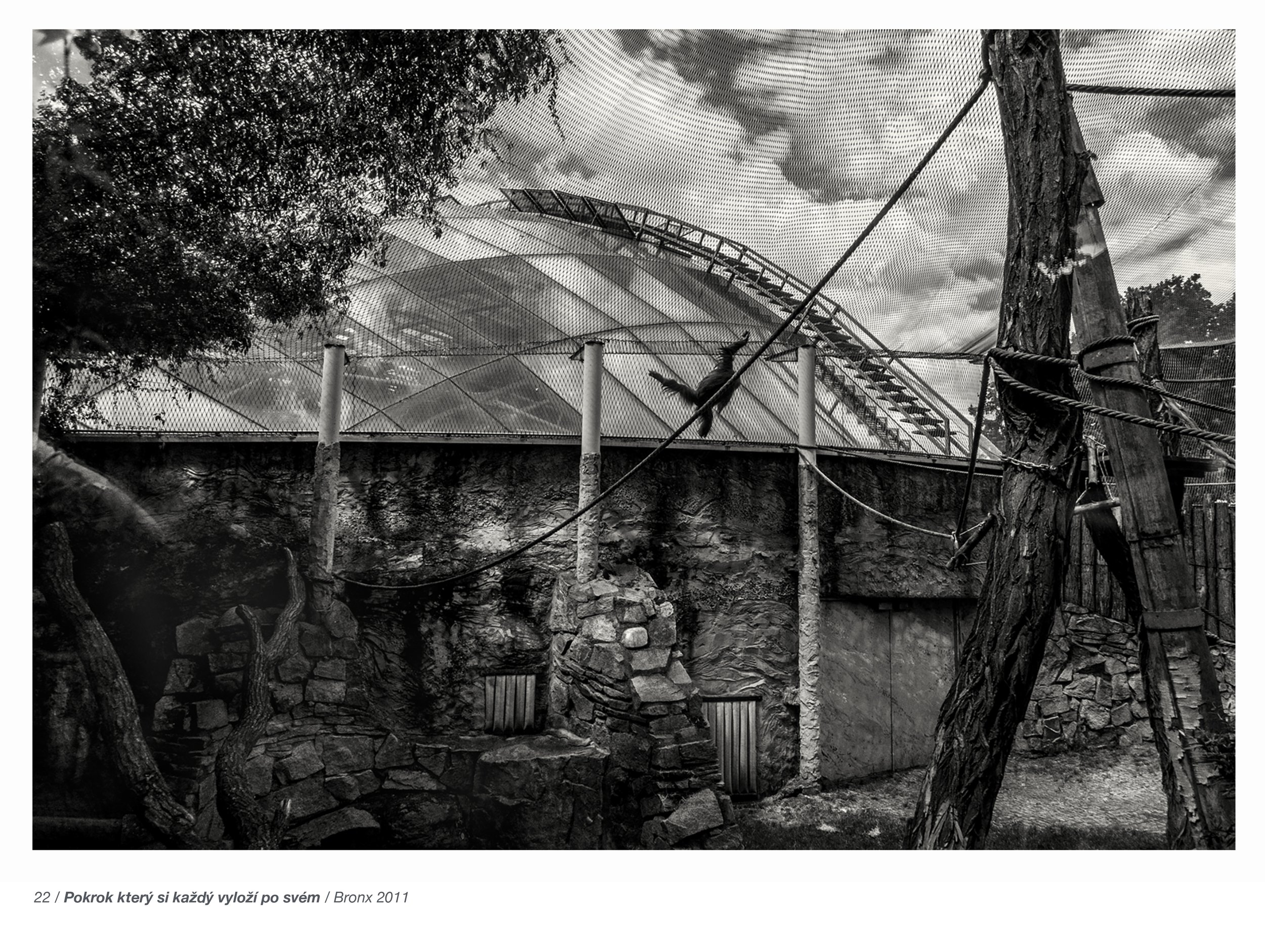 Presentation 17-23.jpg