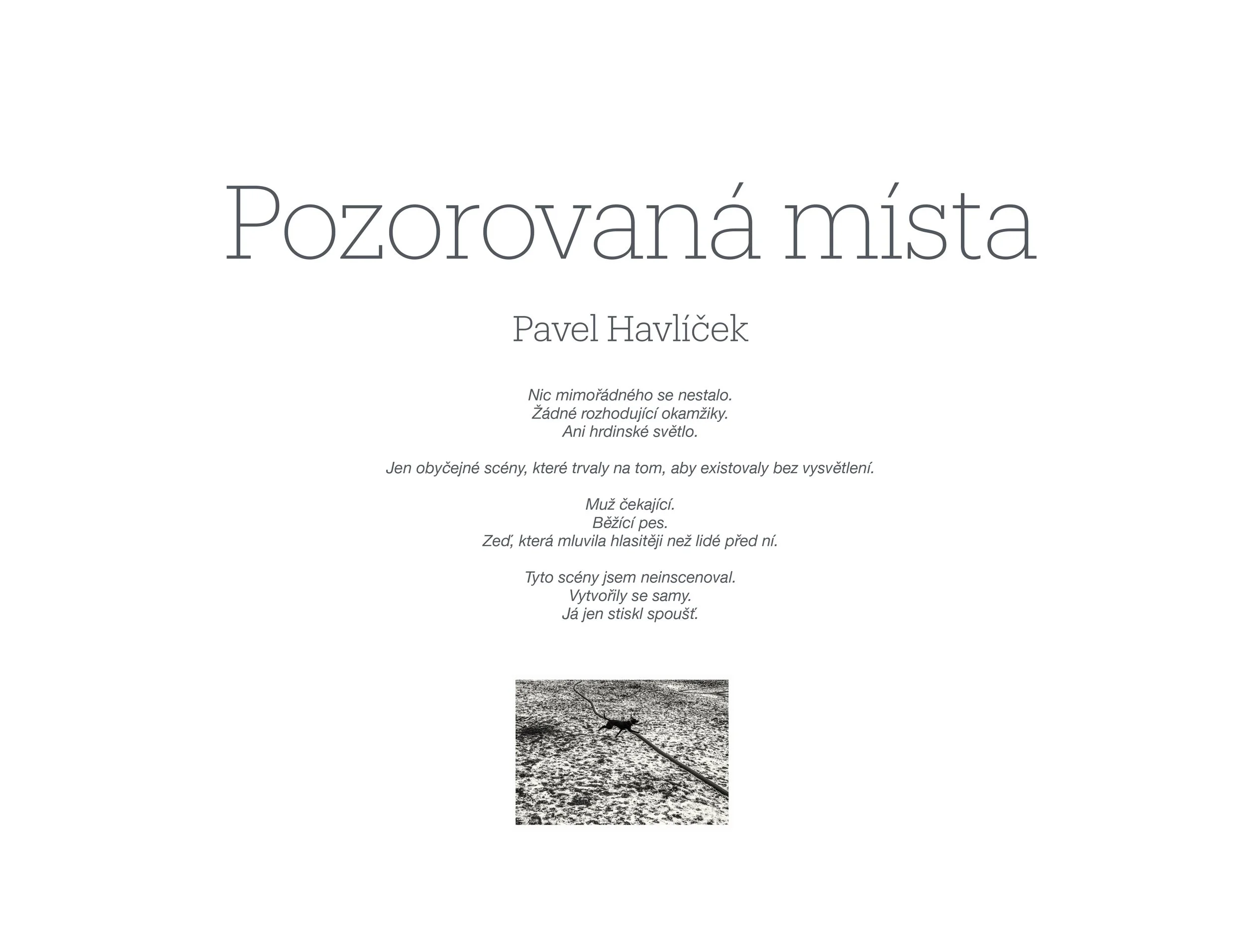 Presentation 17-1.jpg