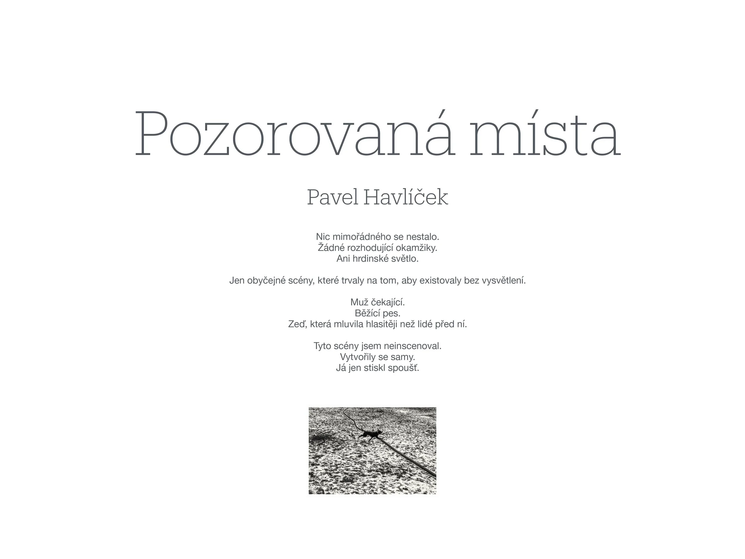 Presentation 17-1.jpg