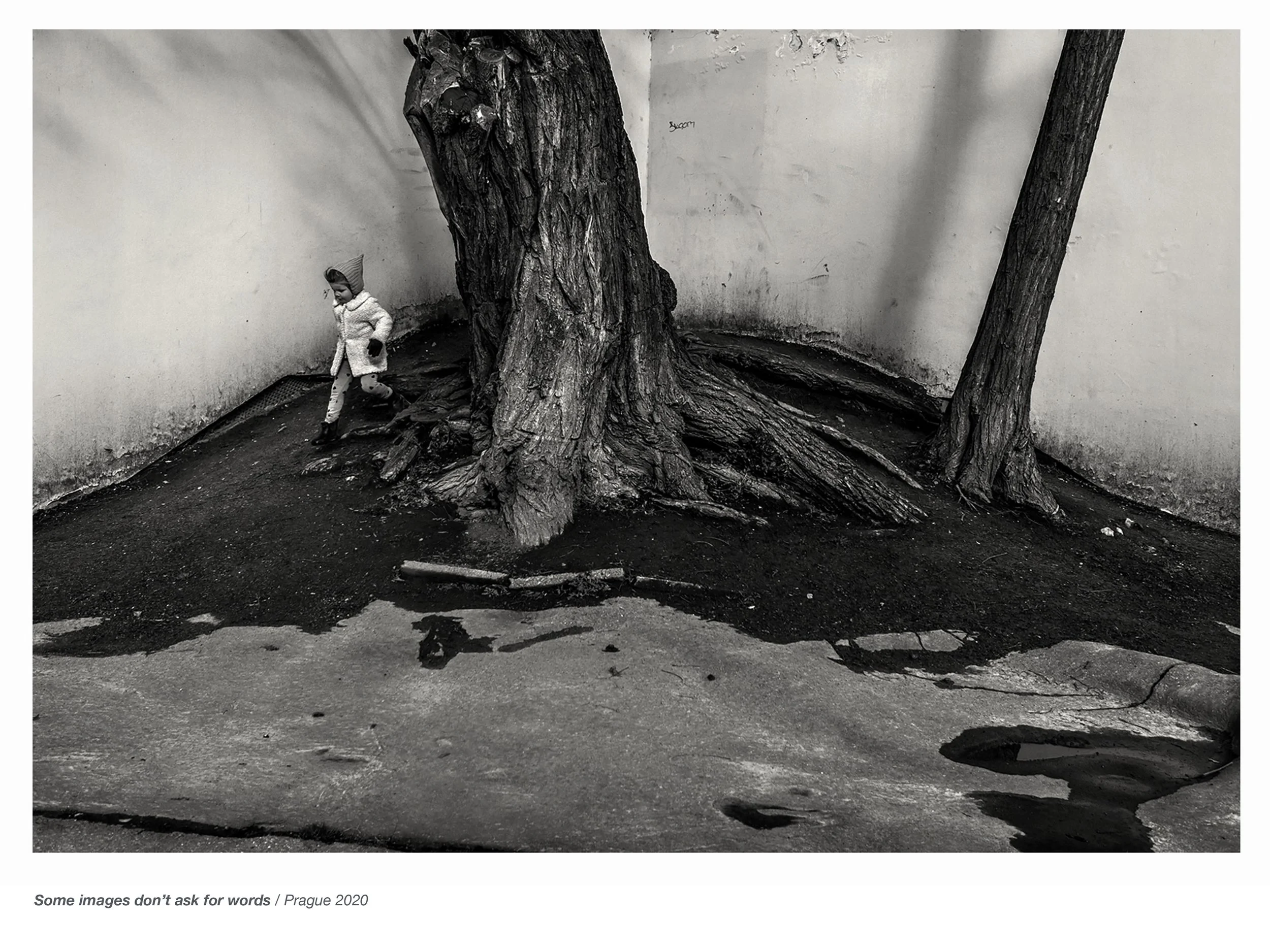 Observed Spaces Havlicek-15.jpg