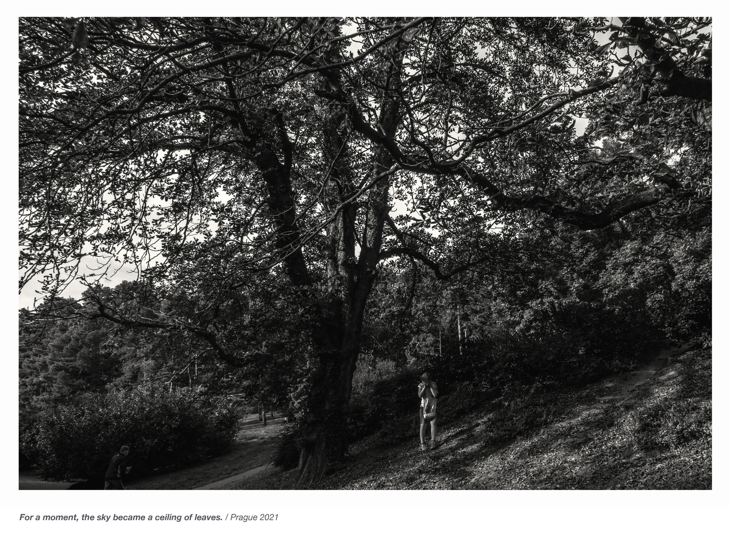 Observed Spaces Havlicek-27.jpg